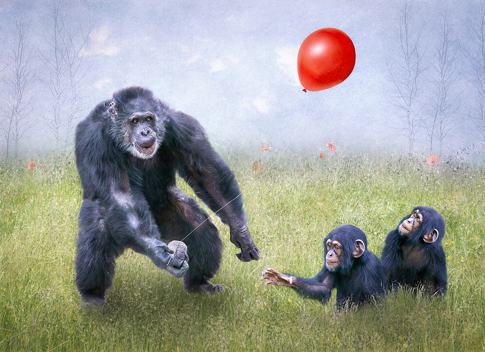 A Balloon For the Children