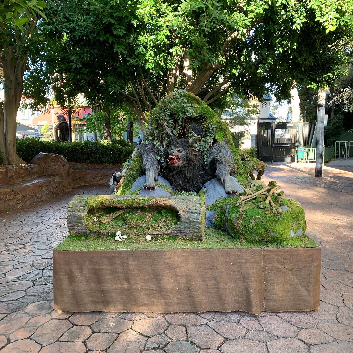 set dec work for"haunted forest"