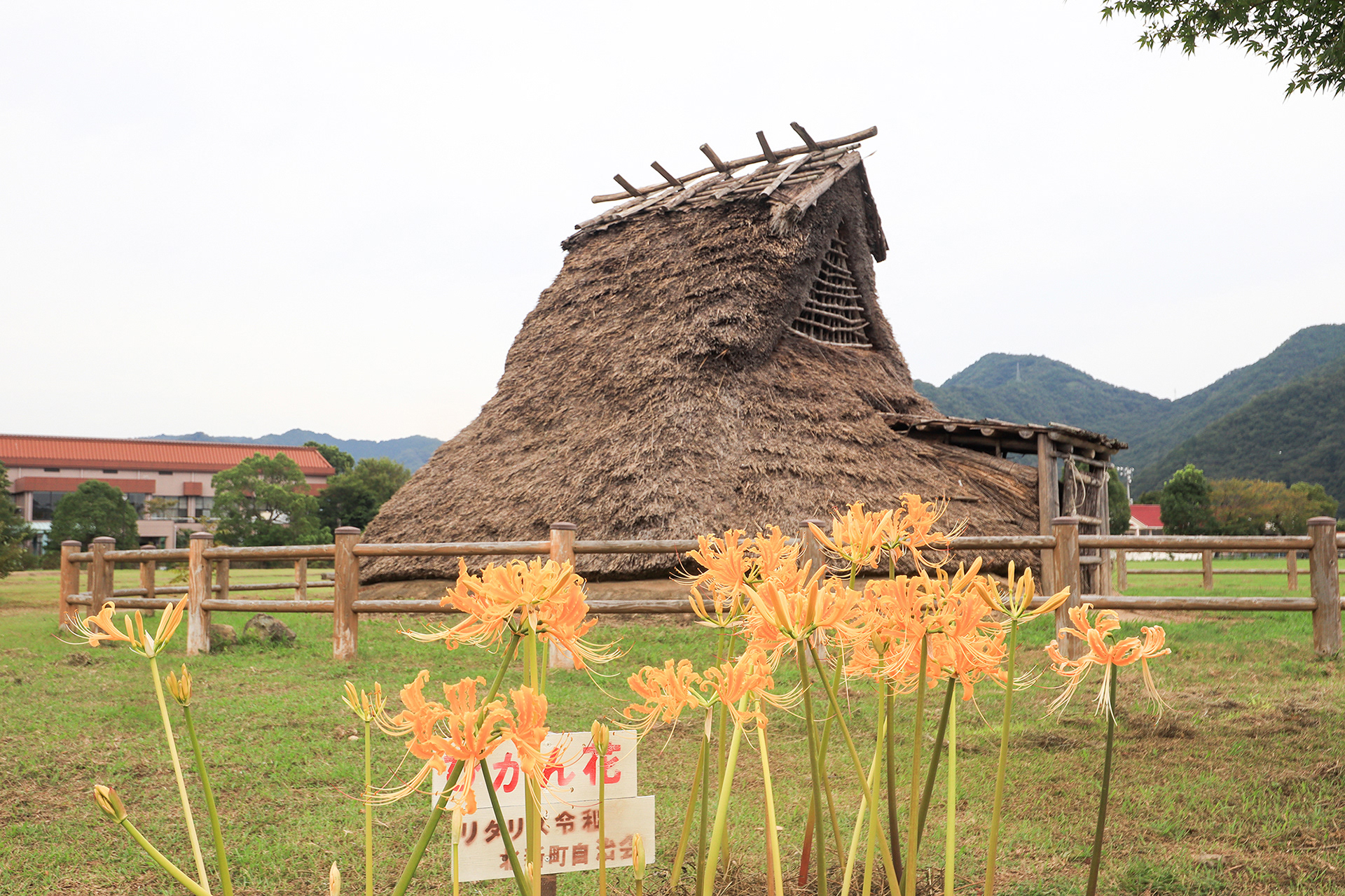 過去から現代、そして未来へ！(新宮宮内遺跡) / もへぬけ / ミラーレス