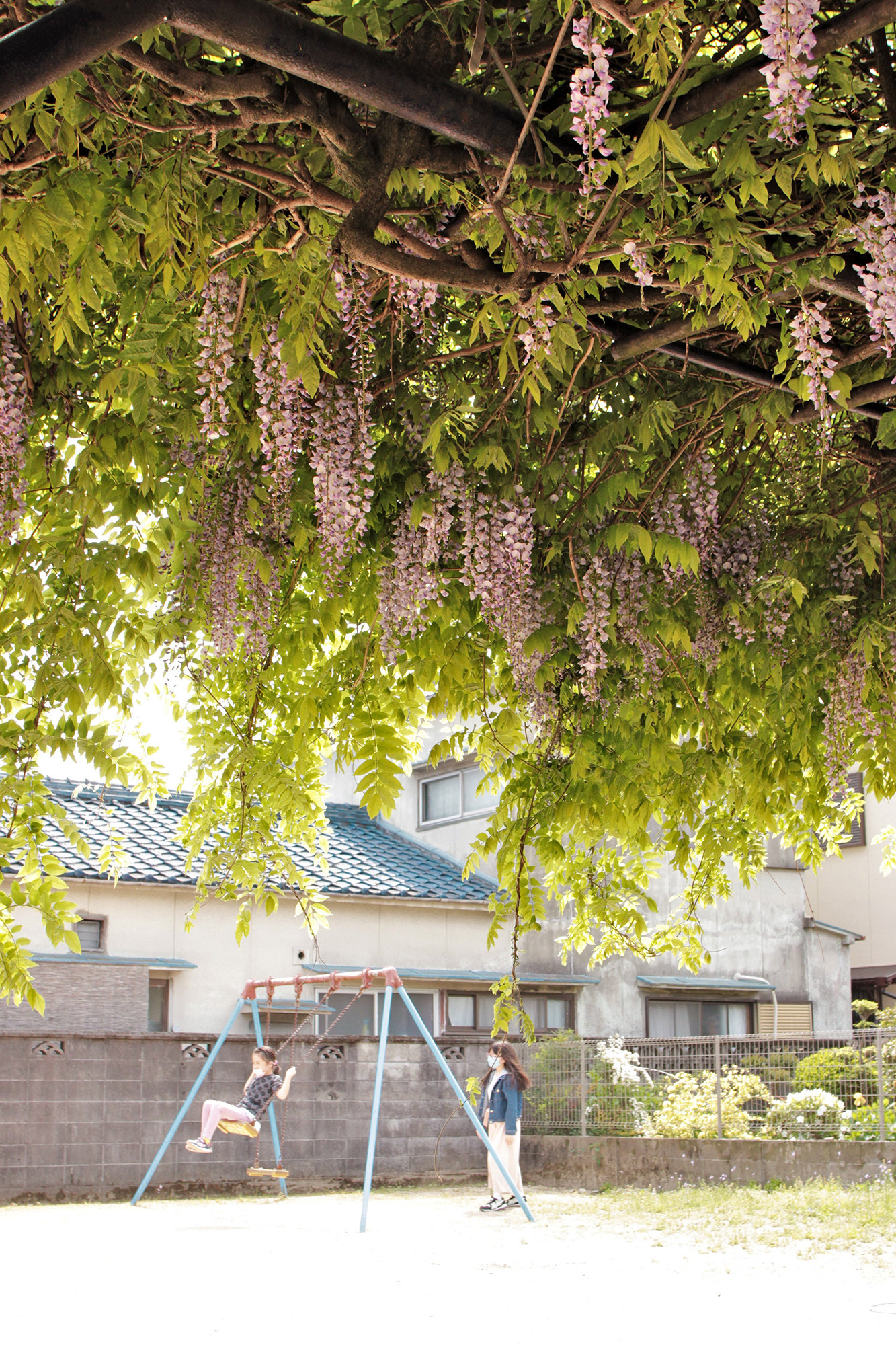 コロナの初夏(富永３丁目公民館) / 福田憲志 / 一眼デジカメ