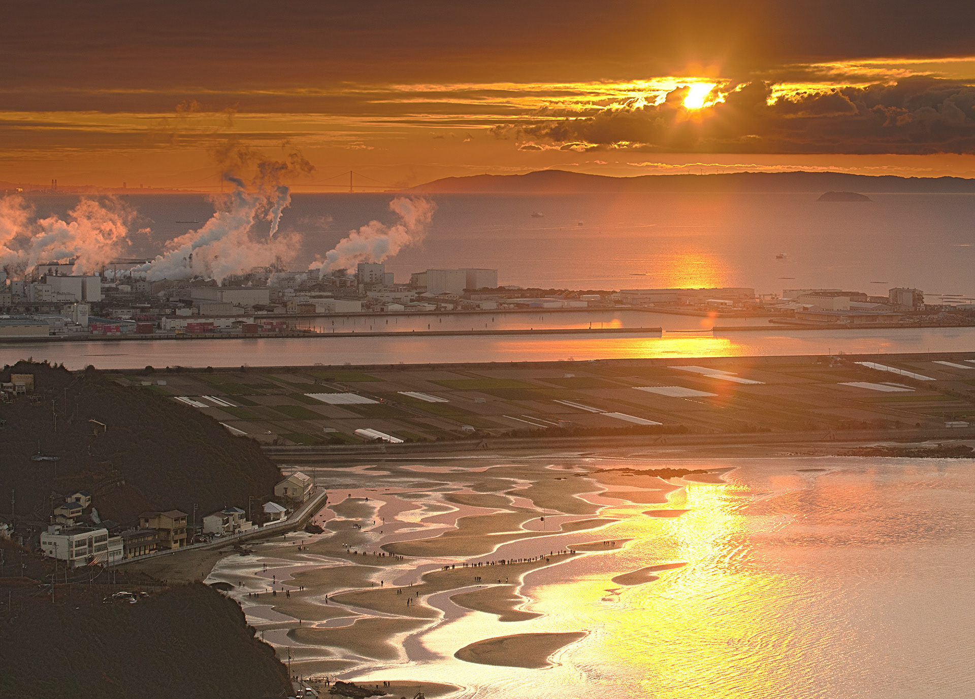 野に立つ人(世界の梅公園元旦初日の出参拝) / 澤田憲志 / ミラーレス