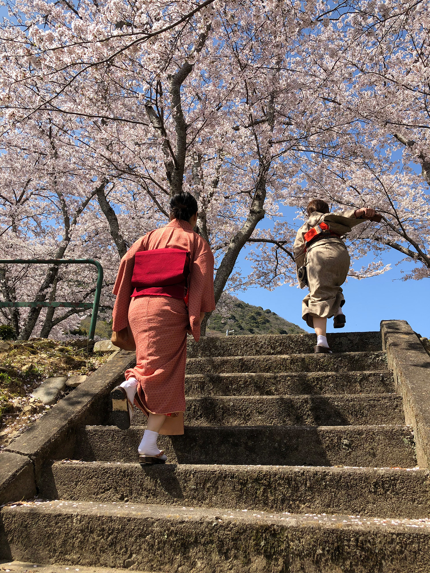 春の着物日和(紅葉谷こども広場（大相撲土俵跡）/ 阪口裕子 / ミラーレス