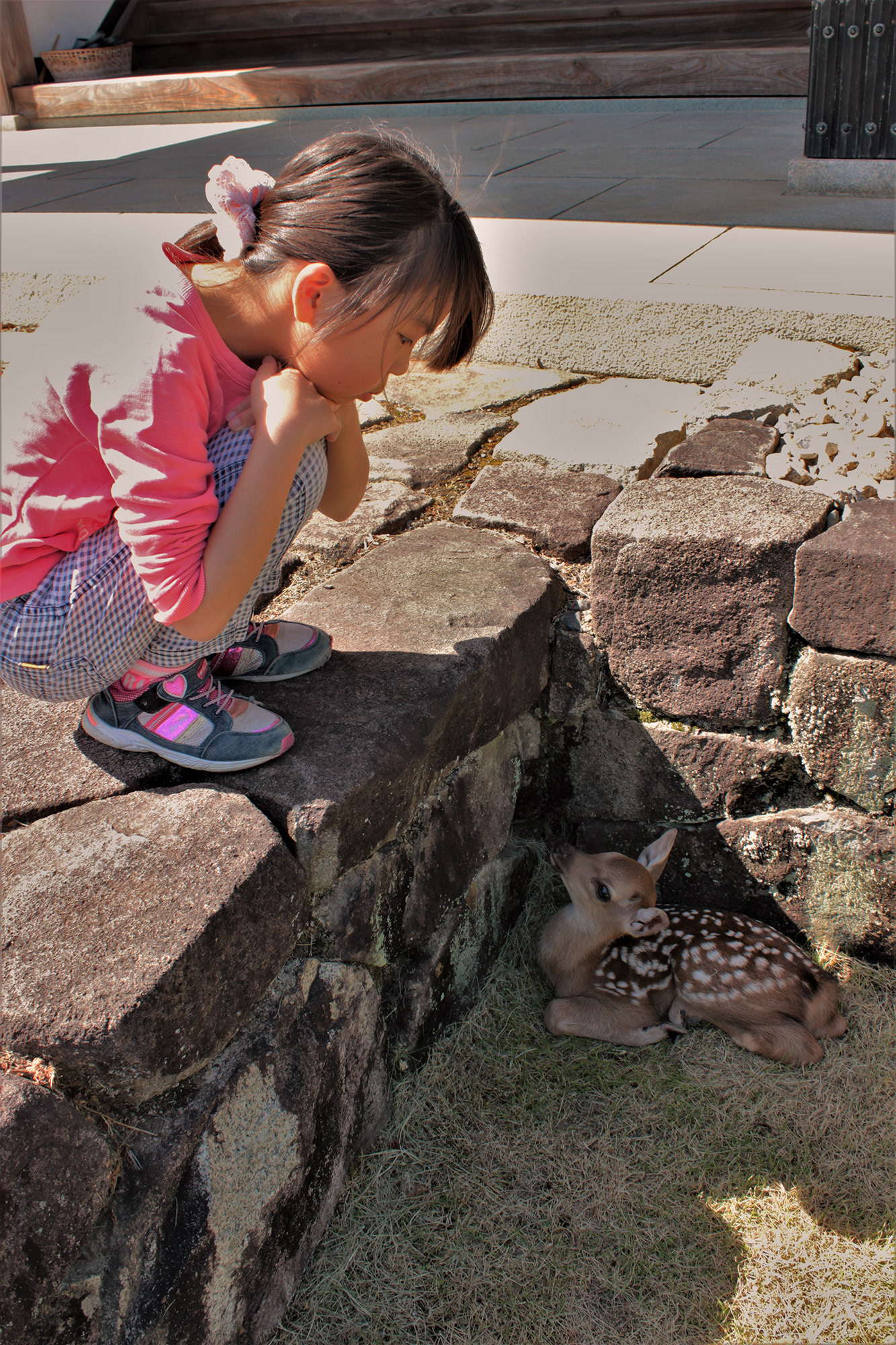 なかよし(龍野城) / 福田憲志 / 一眼デジカメ