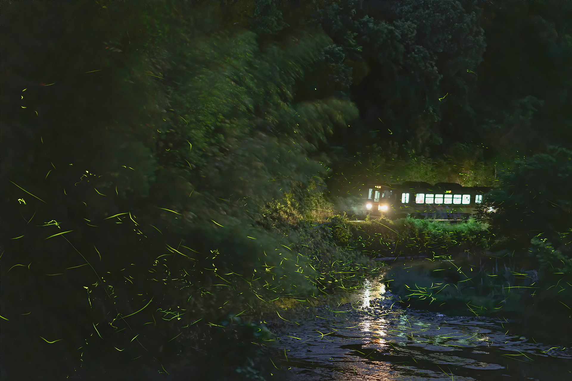 家路(千本駅周辺) / 澤田憲志 / ミラーレス