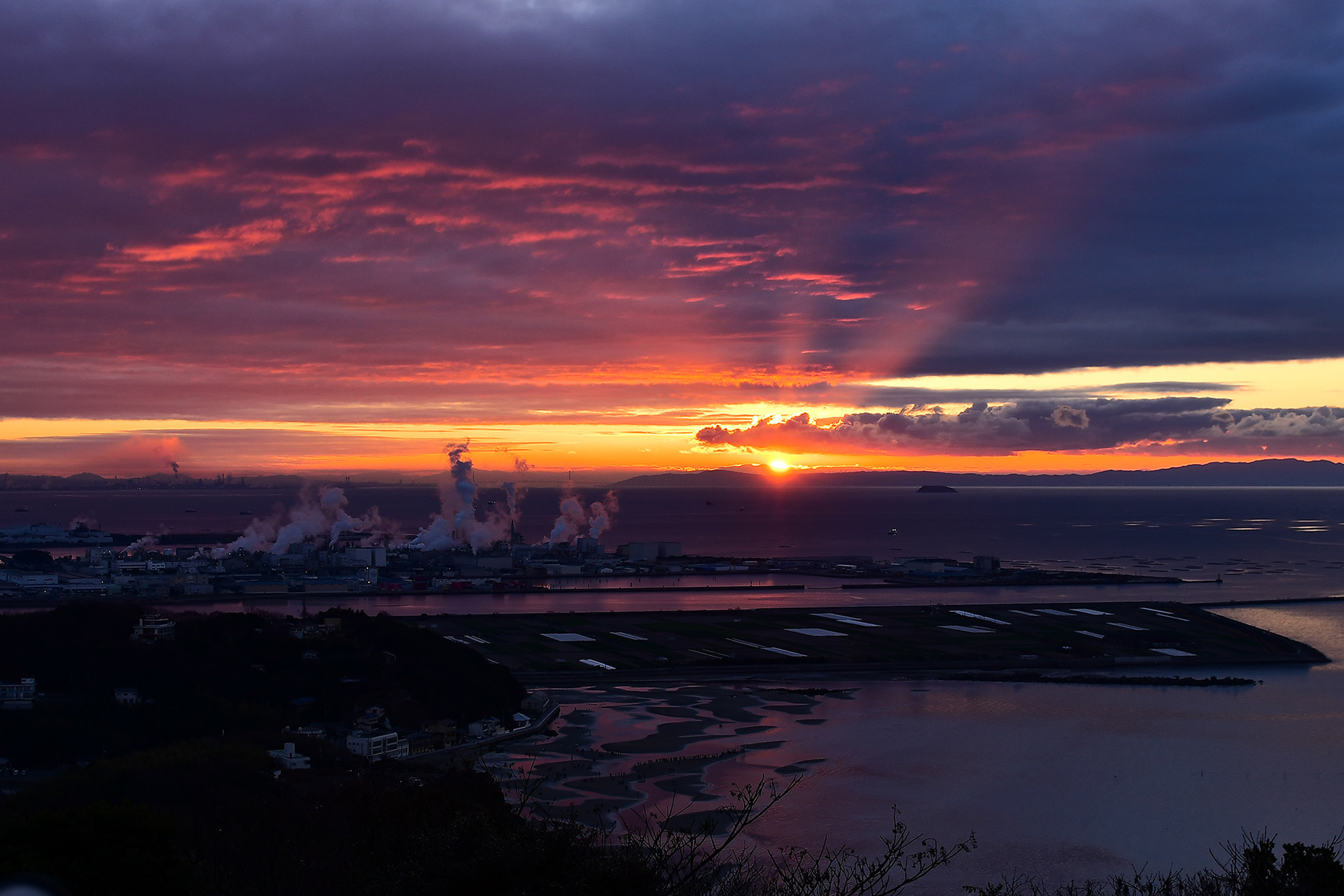 はじまり(世界の梅公園) / Hiroshi / 一眼デジカメ