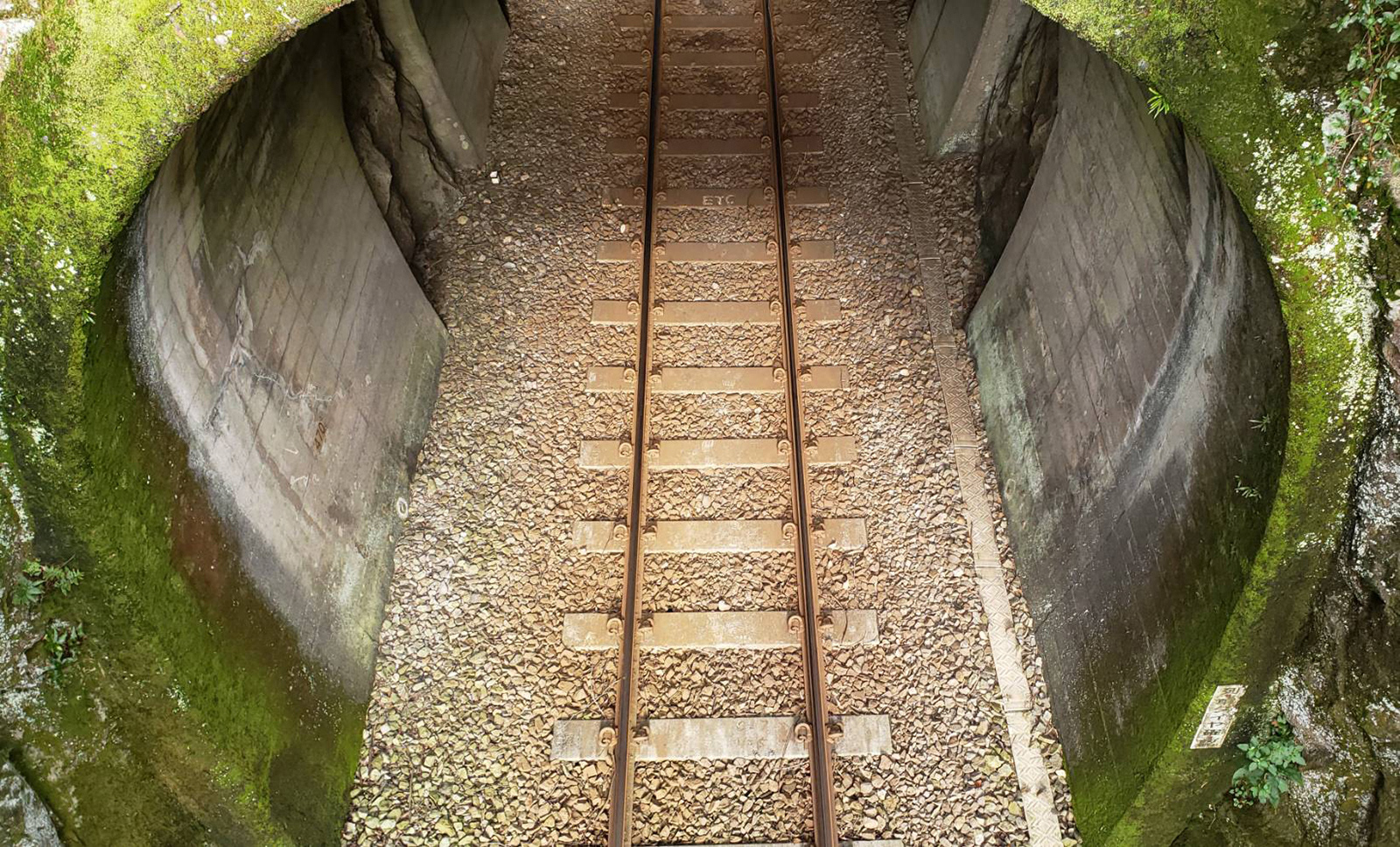 線……あなたに続くよ どこまでも(神岡町) / Ｒｉｋａ　Ｓｈｉｒａｉ / スマホ