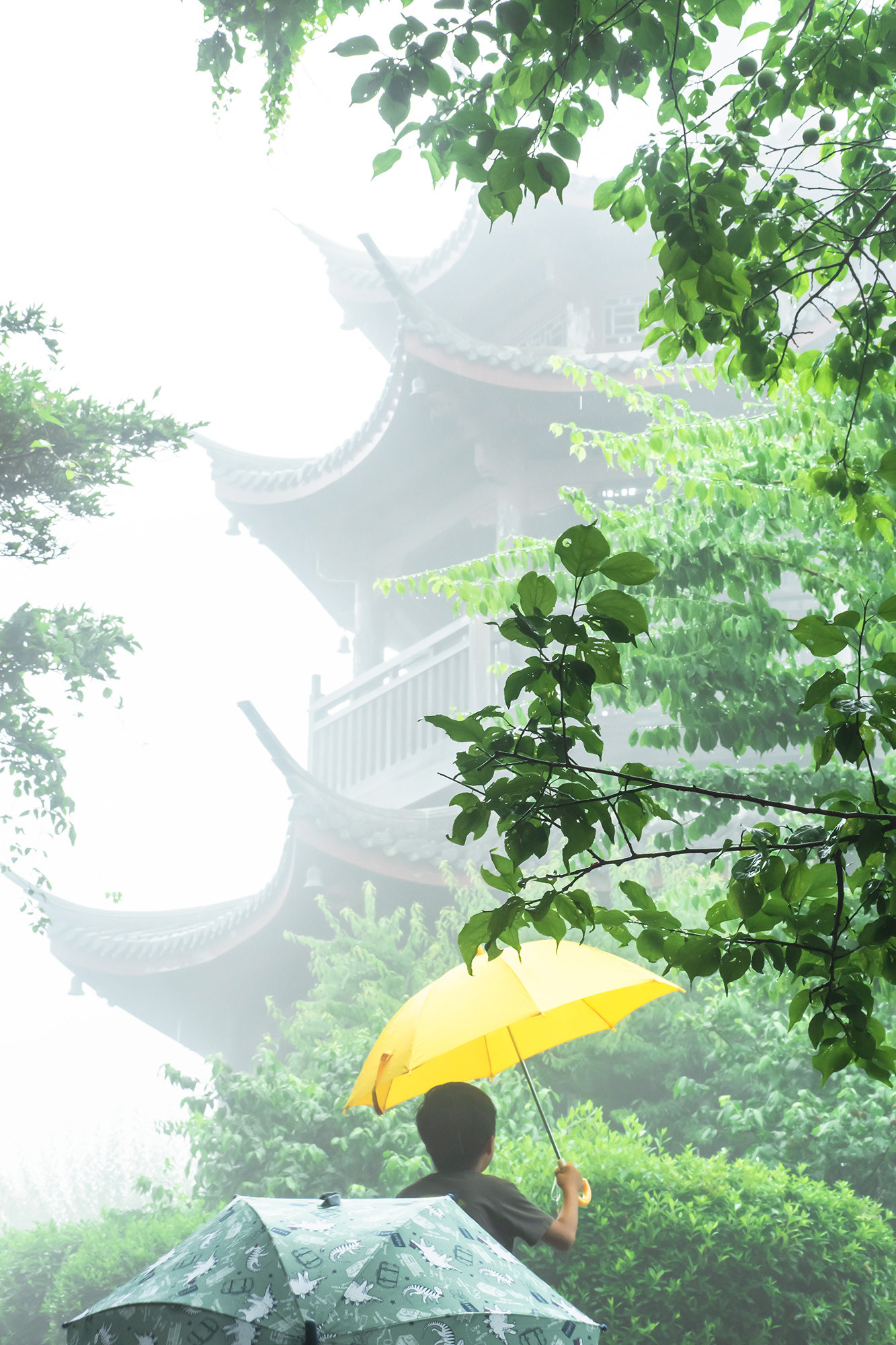 霧の塔(世界の梅公園) / mikimami / ミラーレス