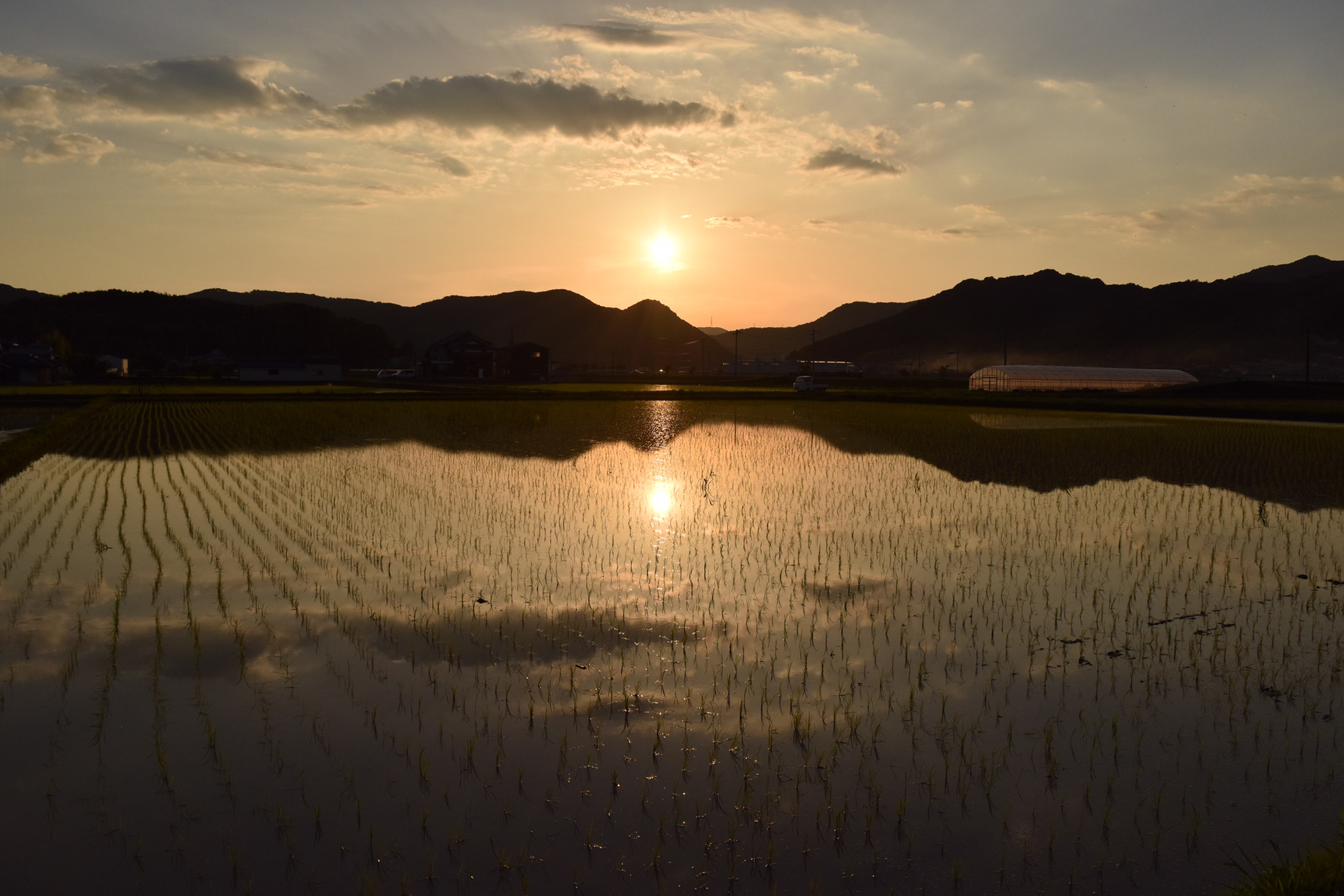 波紋 / 桑田卓郎 / スマホ