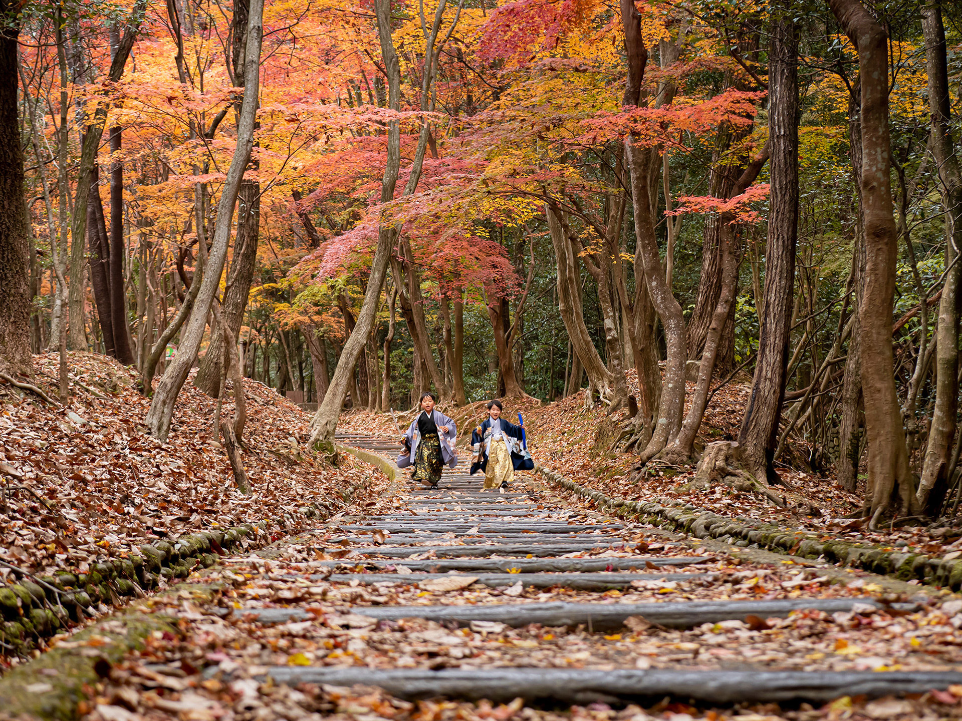 あしたへのみち(紅葉谷) / mikimami / ミラーレス