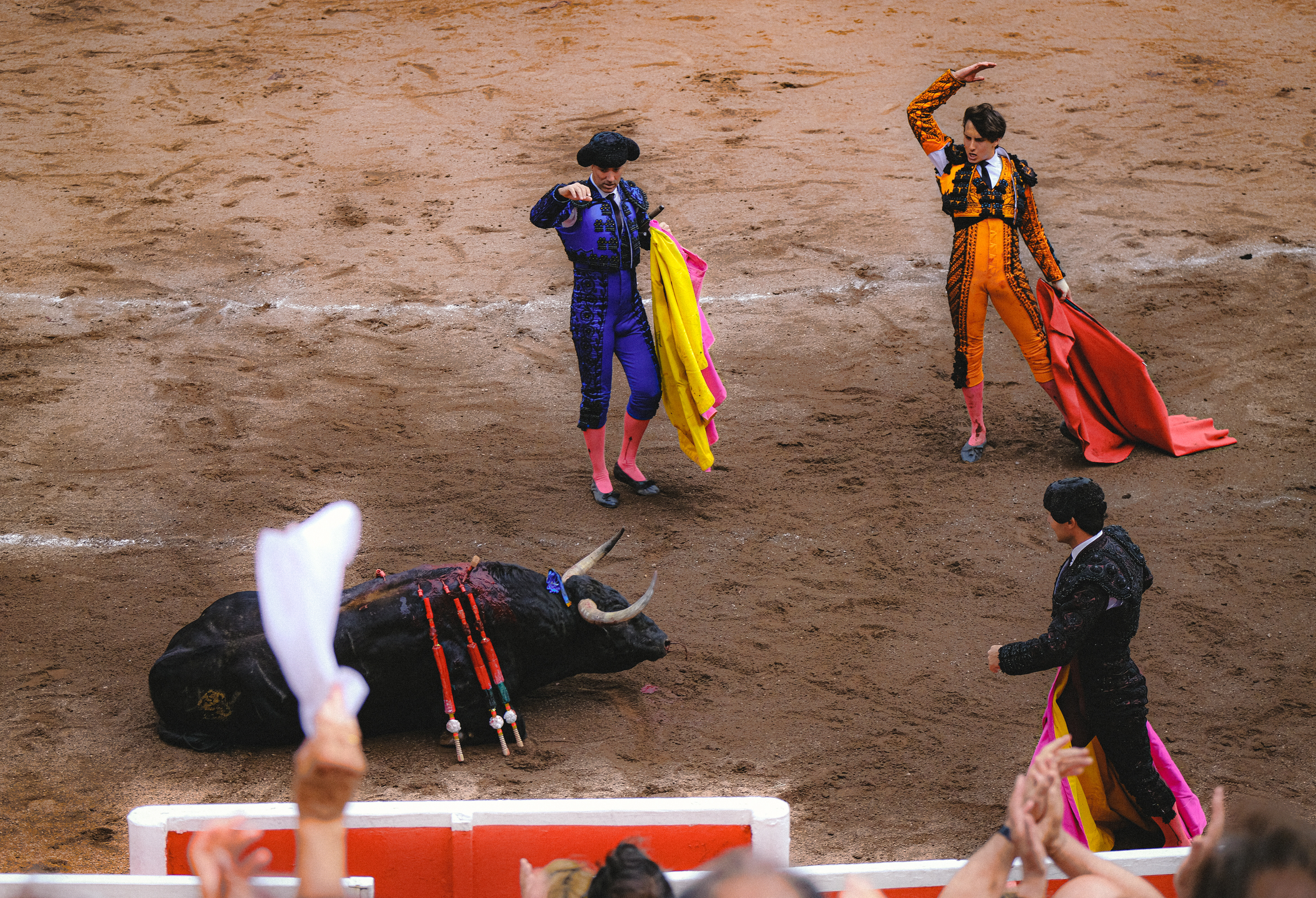 Bilbao - Bullfighting