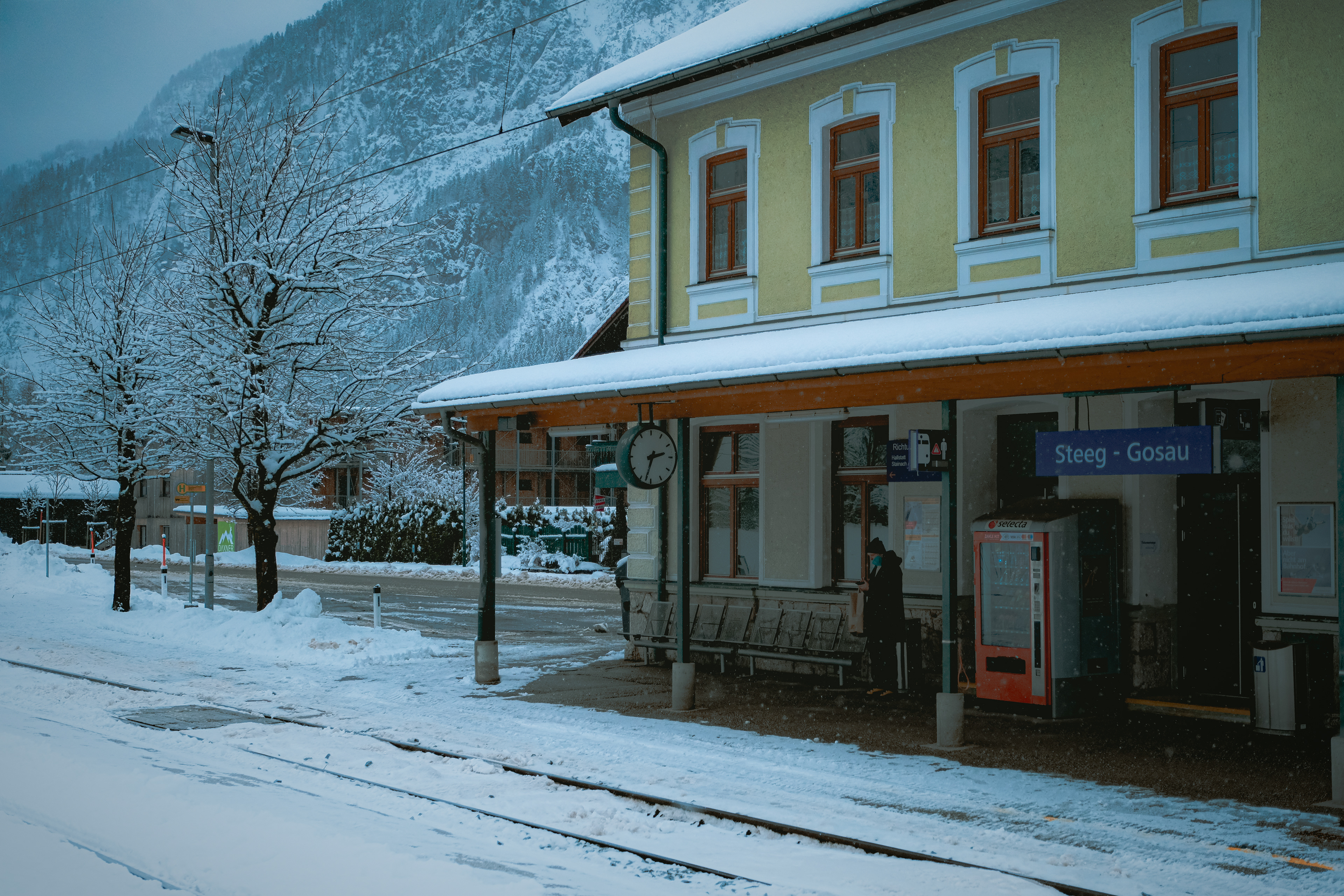 Steeg Gosau on OBB train