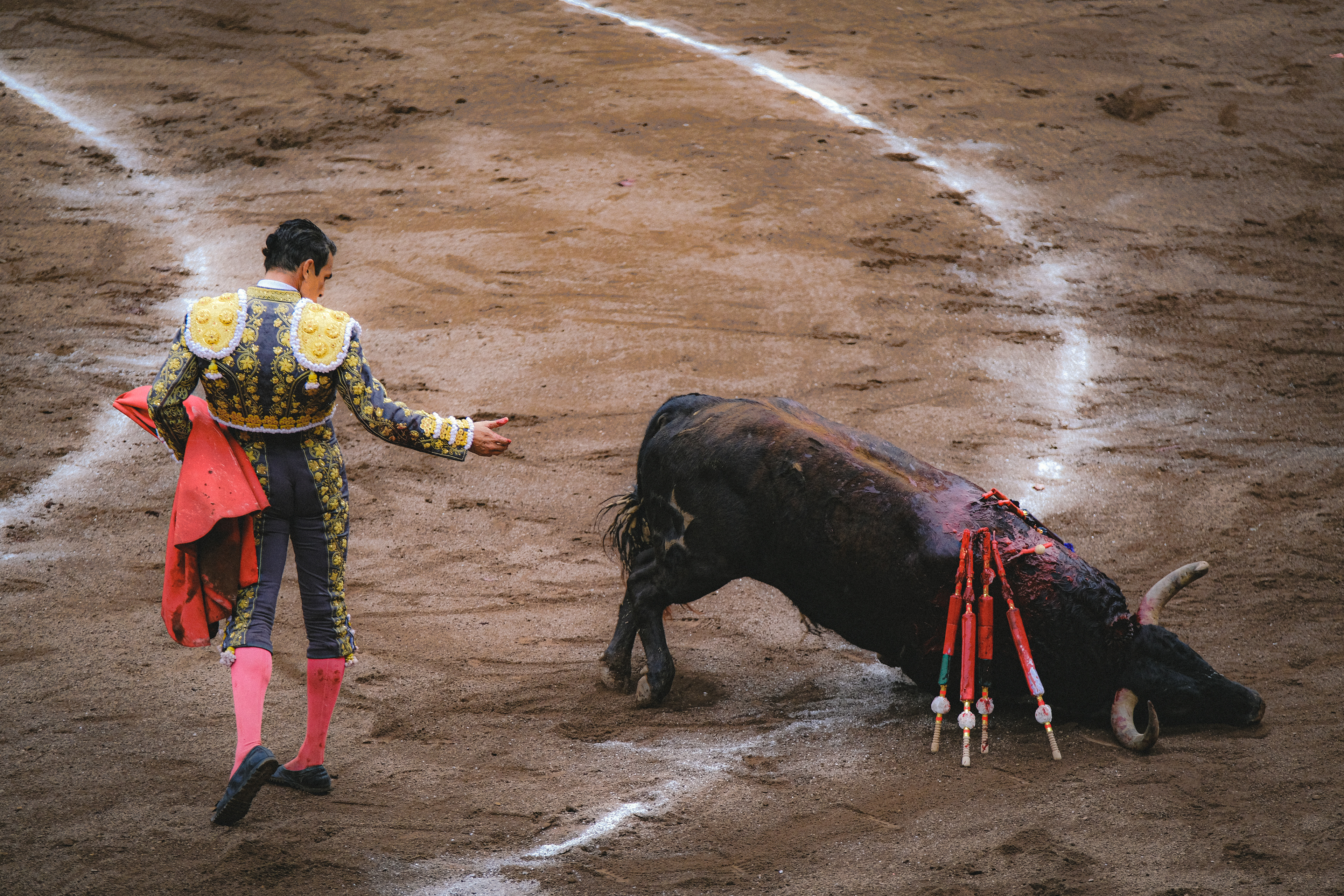 Bilbao - Bullfighting