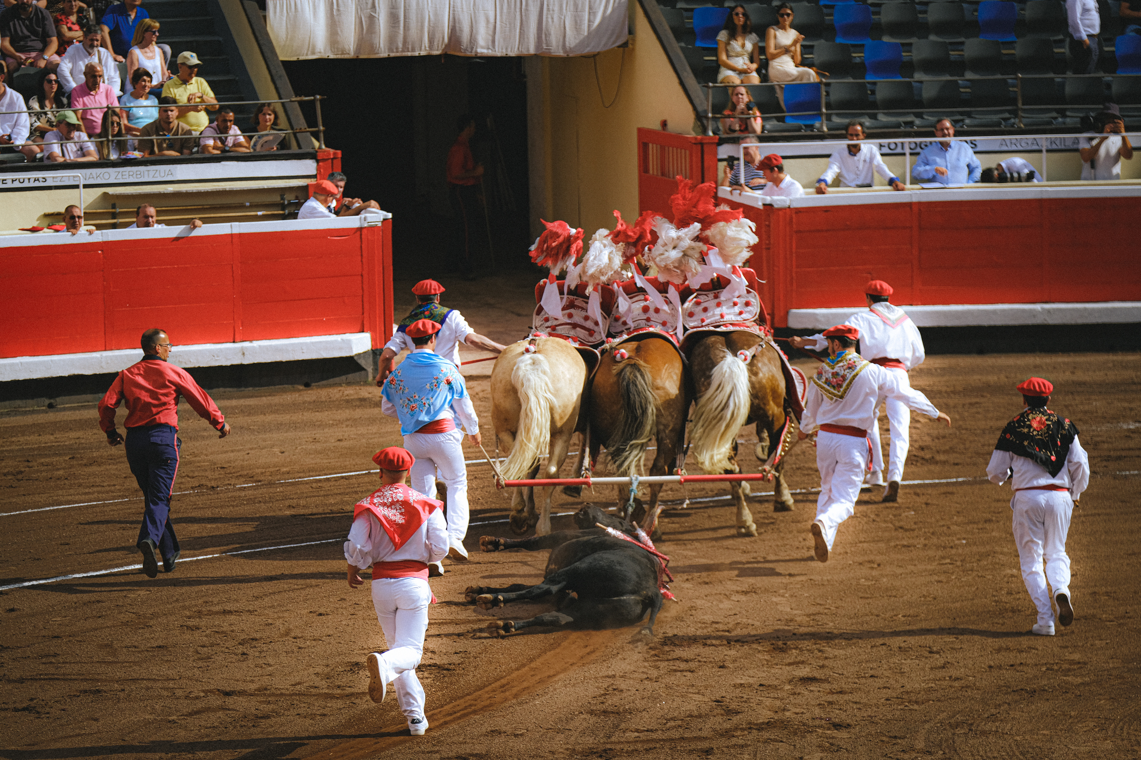 Bilbao - Bullfighting