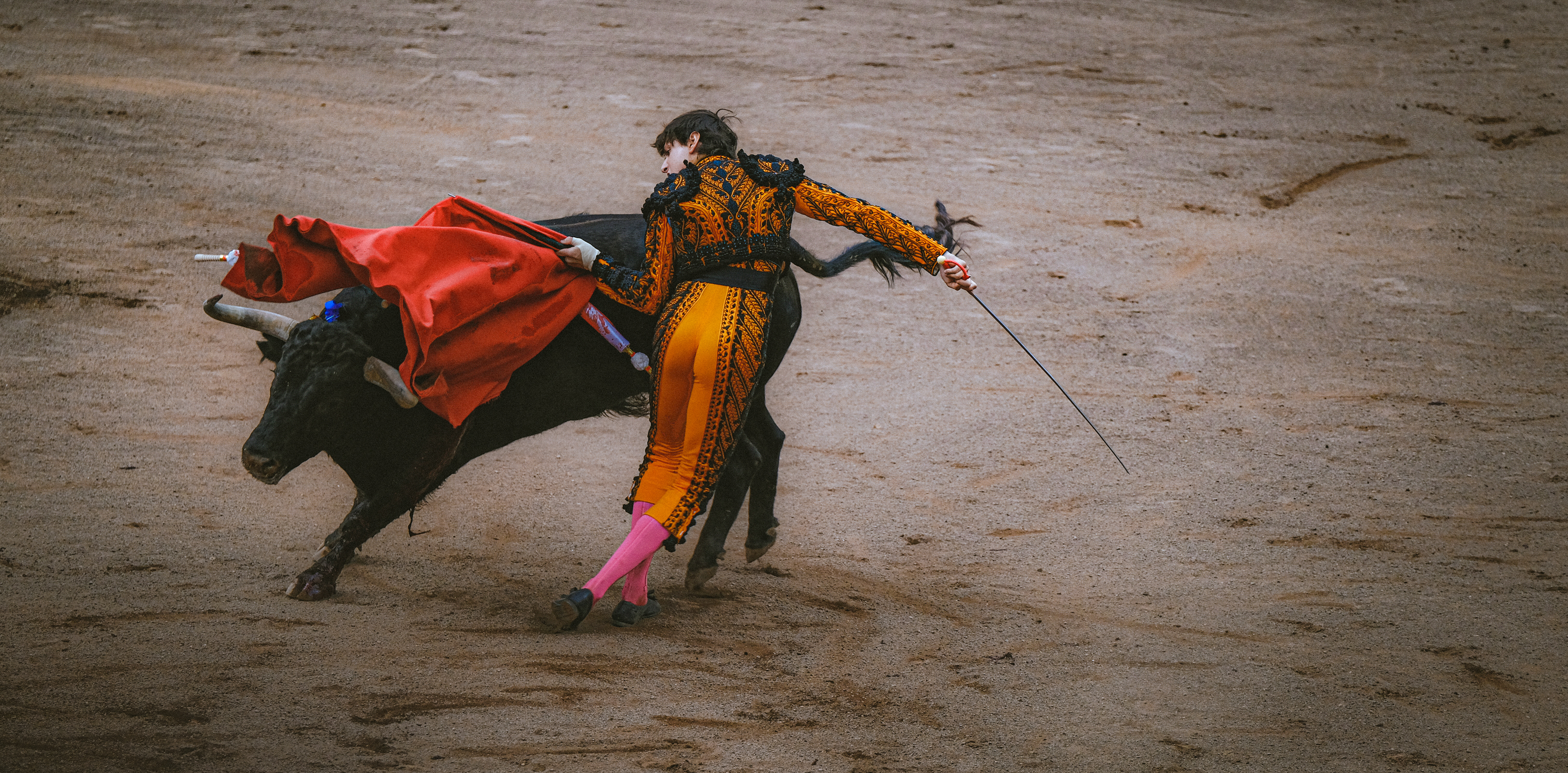 Bilbao - Bullfighting
