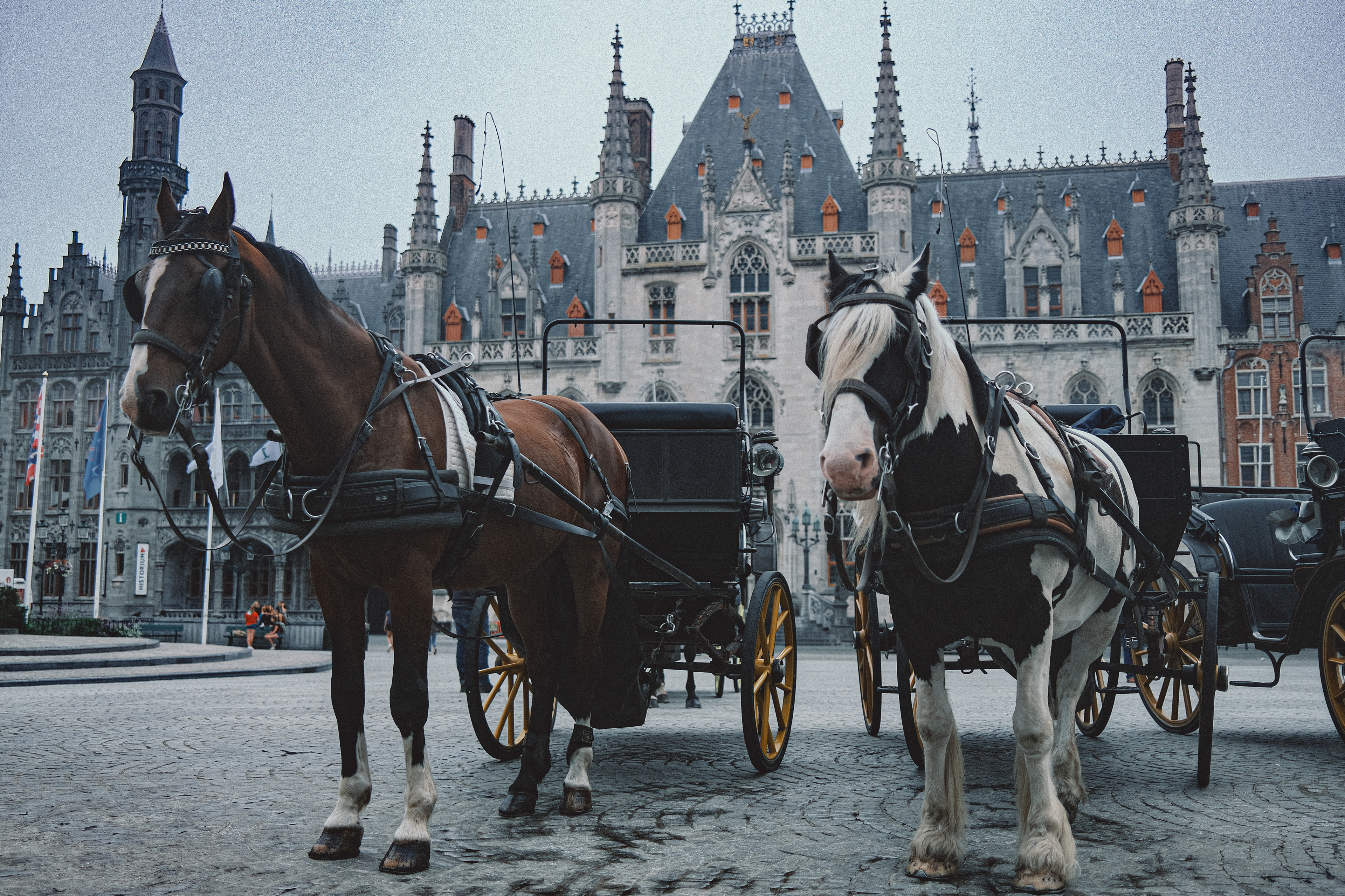 Provinciaal Hof, Brugge