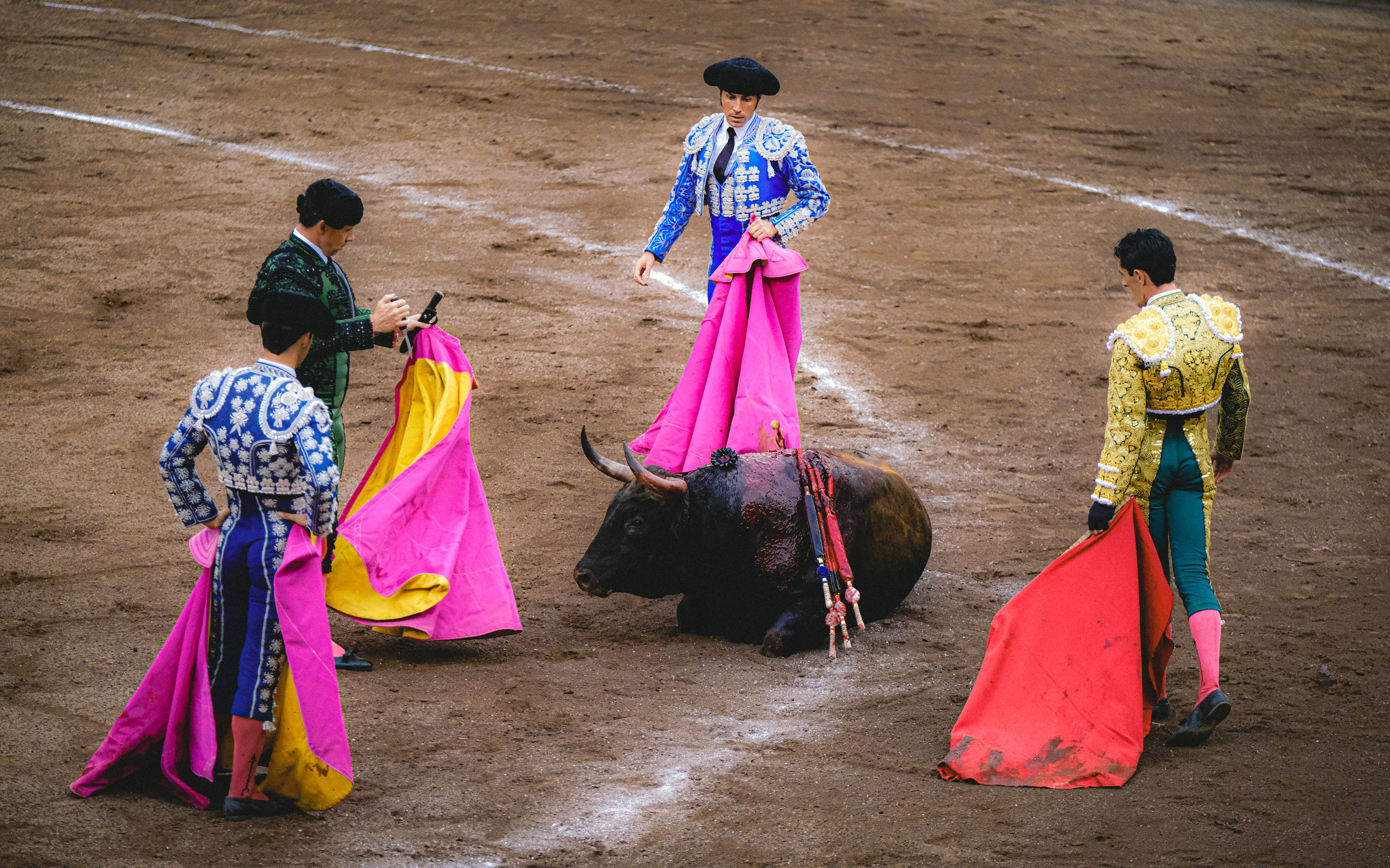 Bilbao - Bullfighting