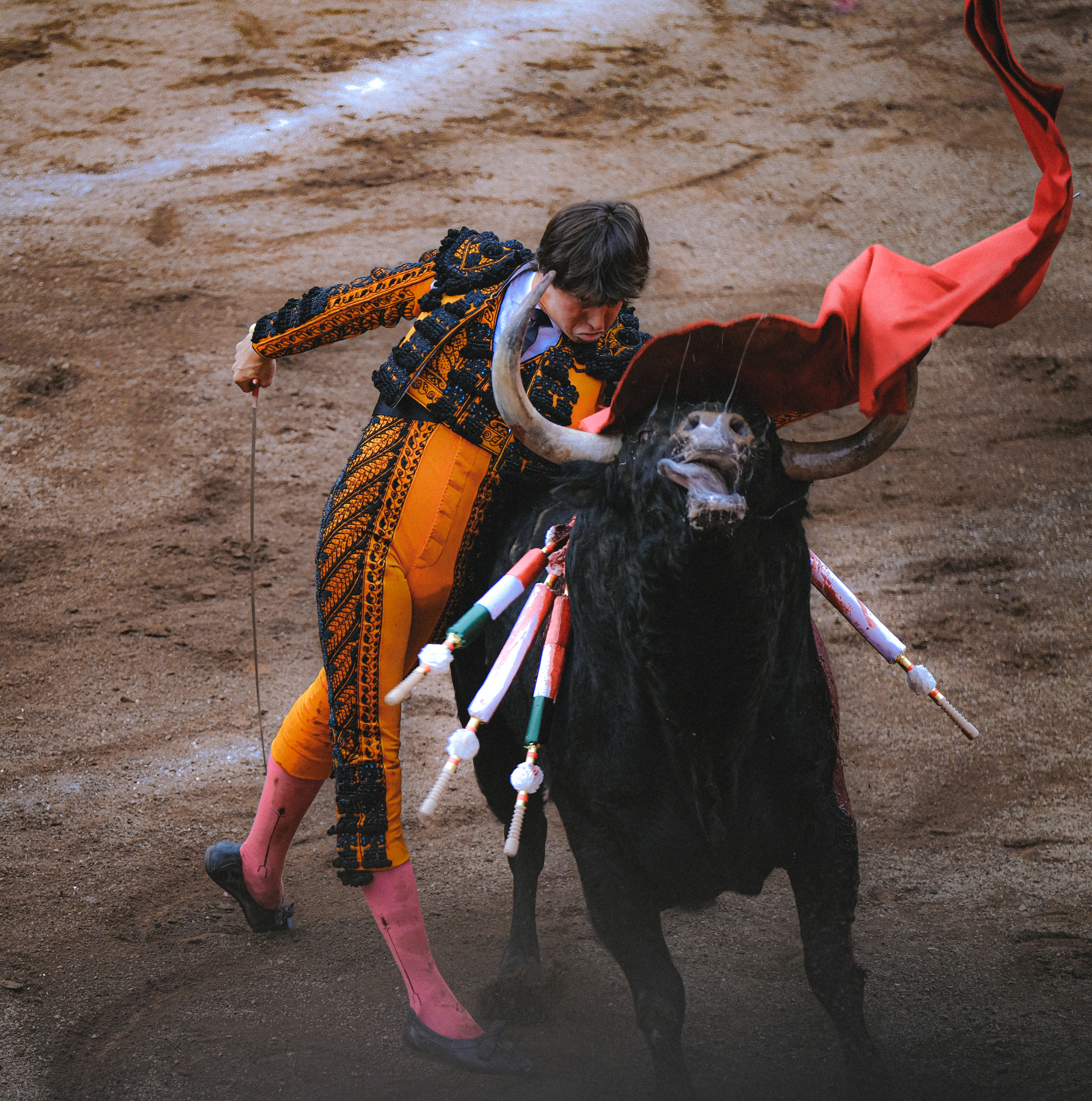 Bilbao - Bullfighting