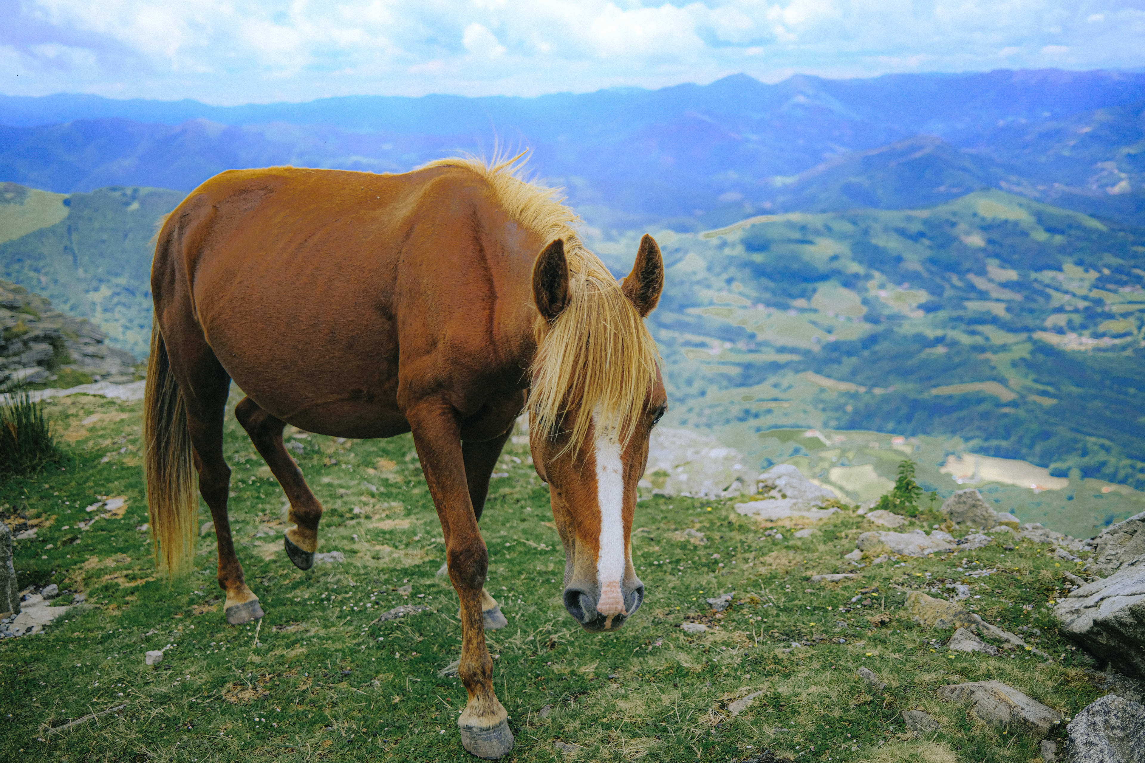  La Rhune, Pyrenees