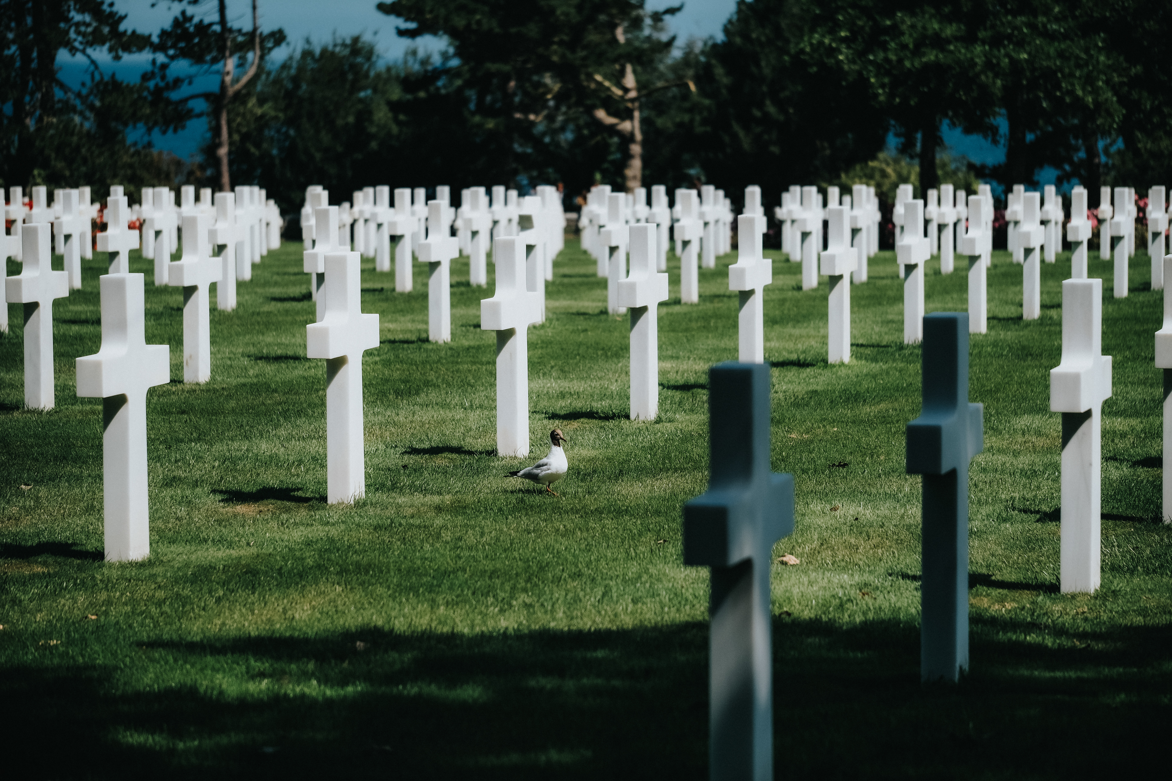 Normandy American Cemetery