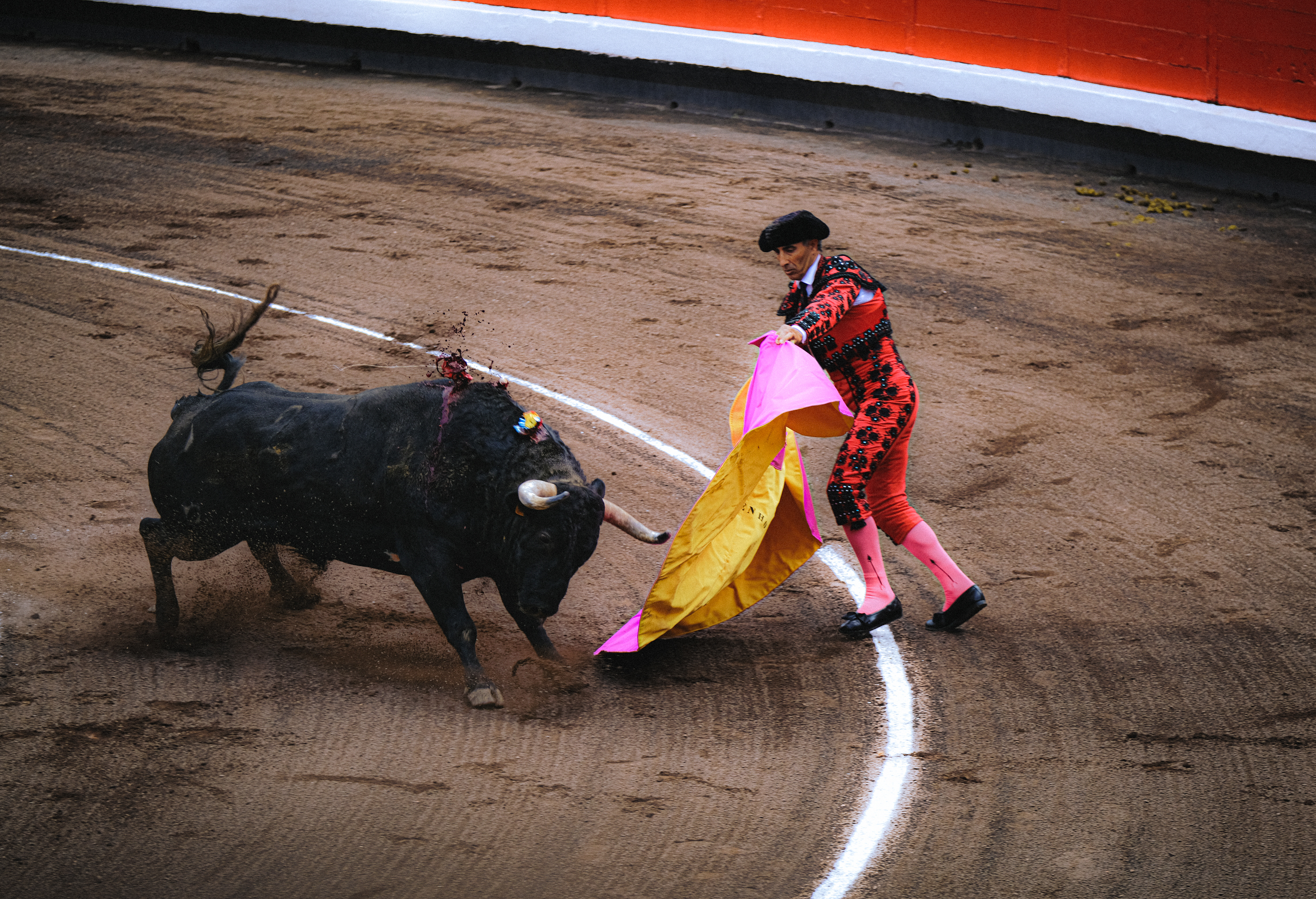 Bilbao - Bullfighting