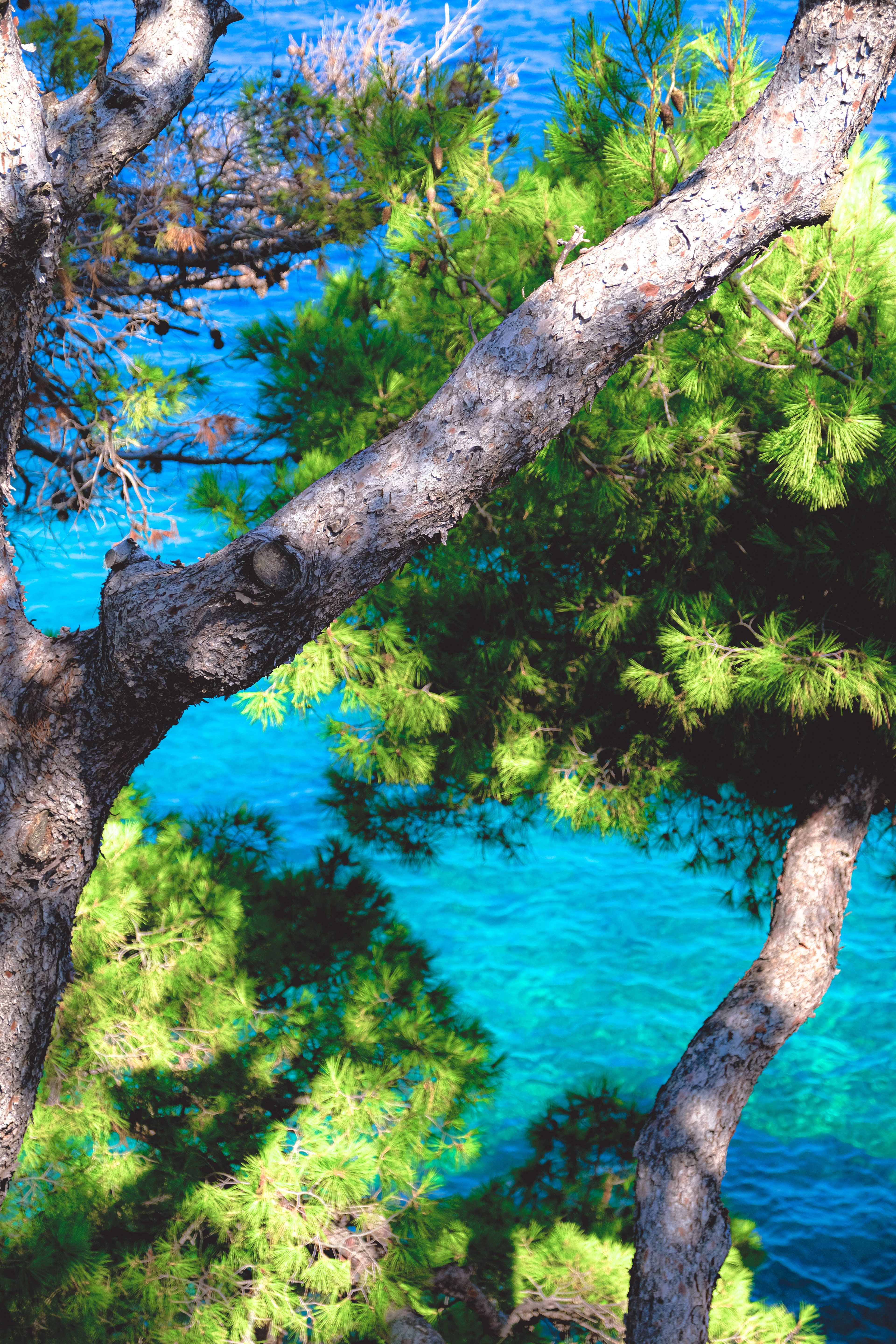 Impression of Croatian coast