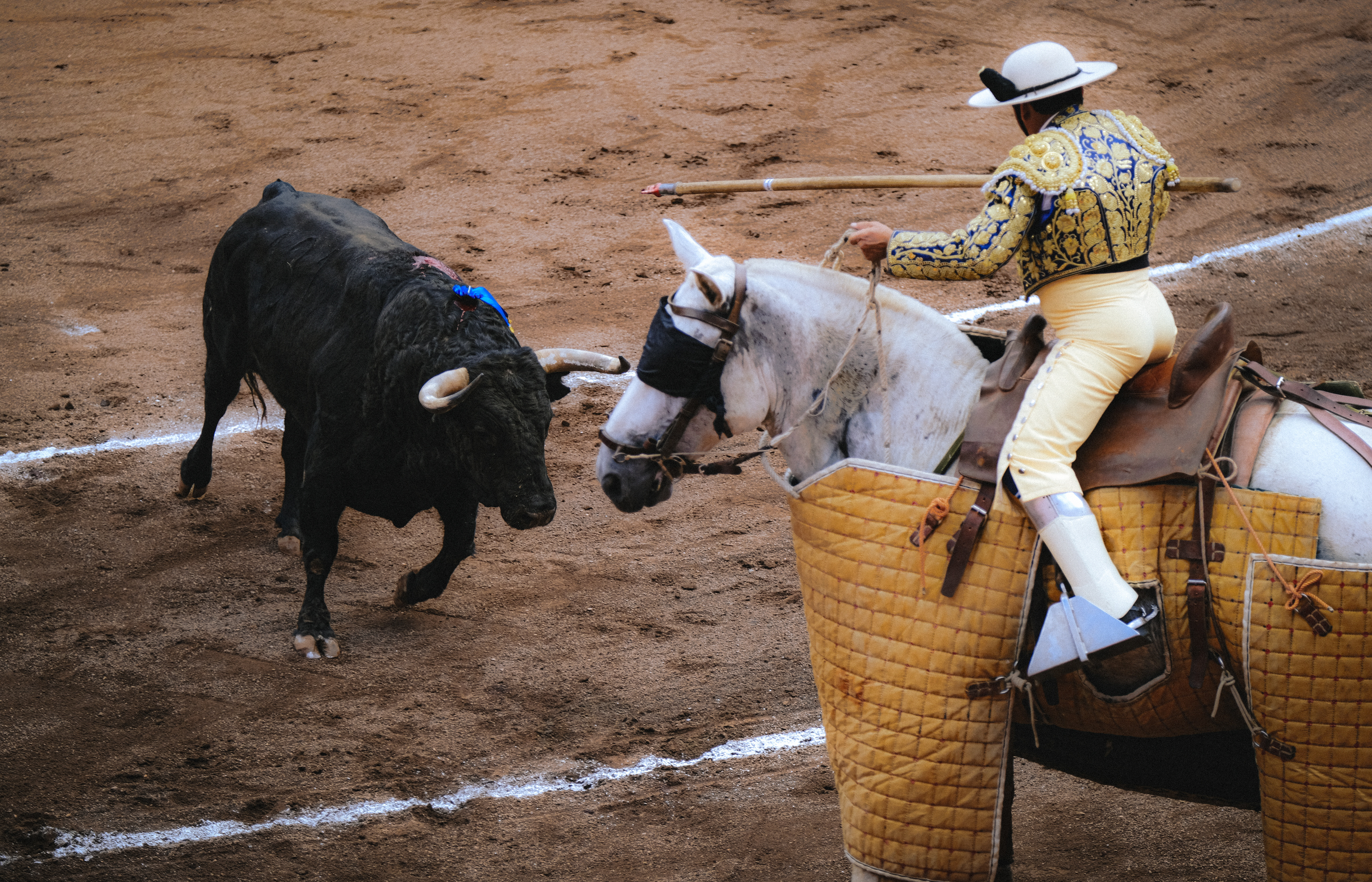 Bilbao - Bullfighting