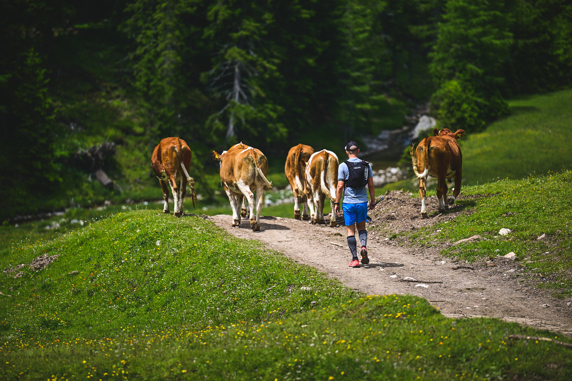 Lavaredo Ultra Trail 2024