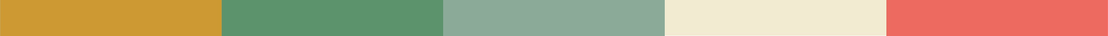 Brand Colours