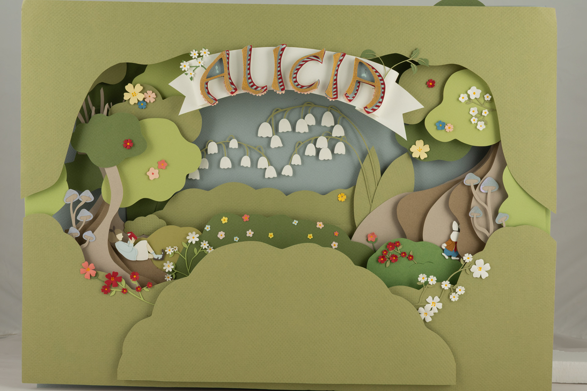 Fotografía de cámara 01