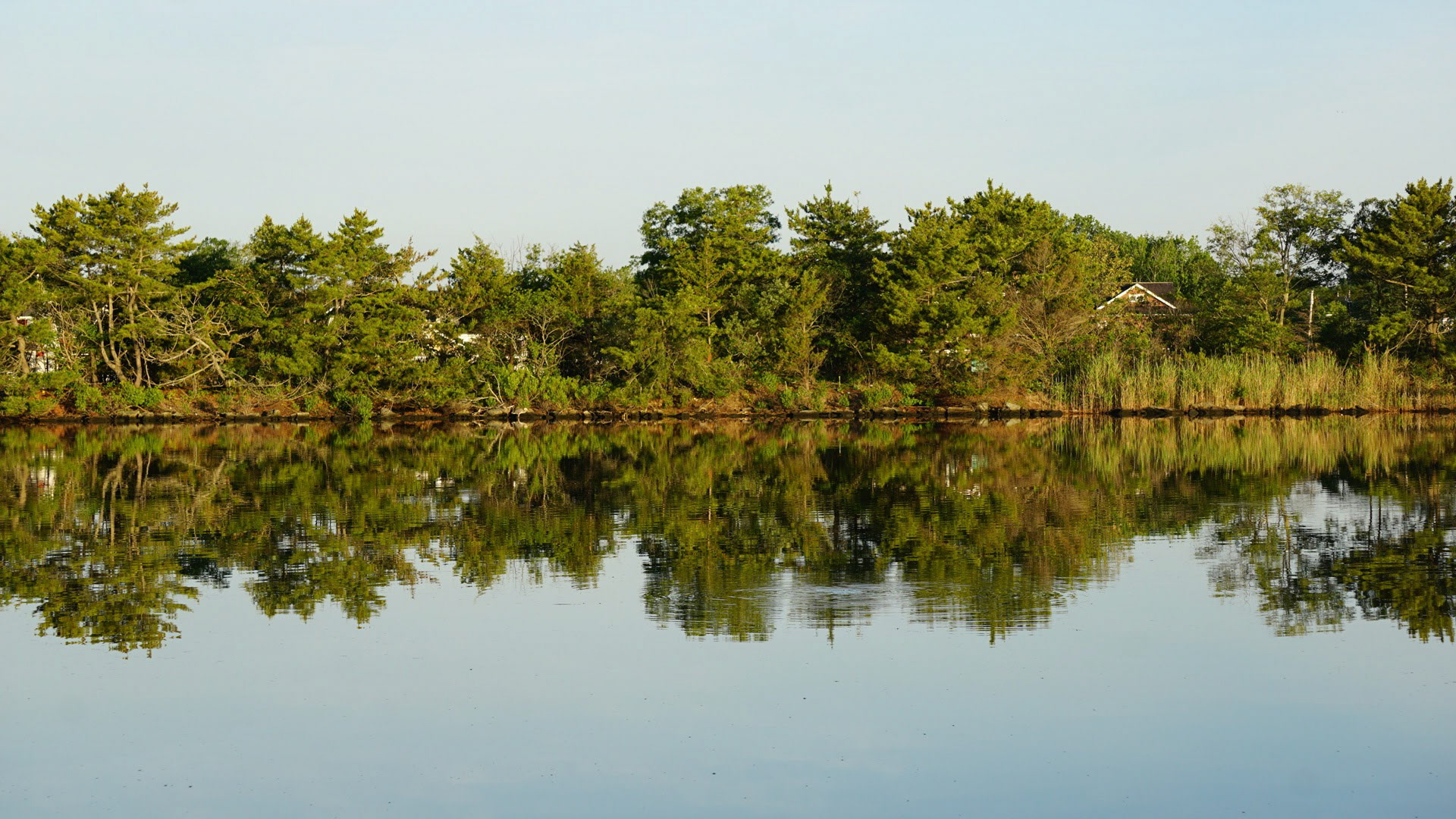Serene Lake in NC