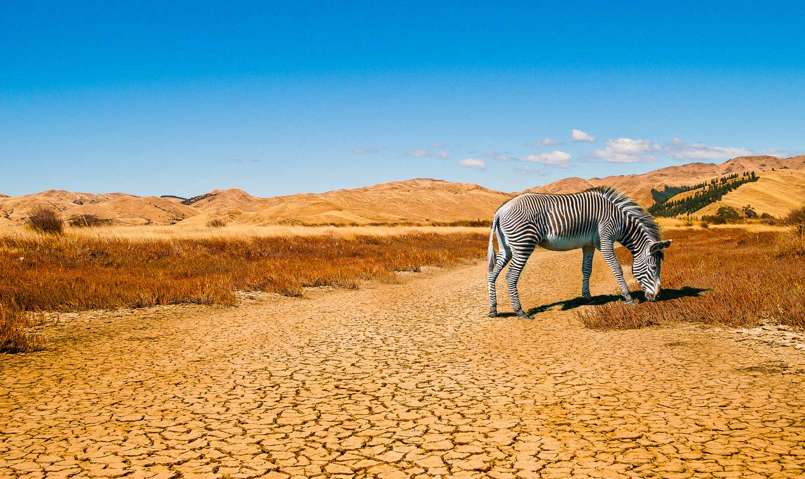 Climate Change (2)