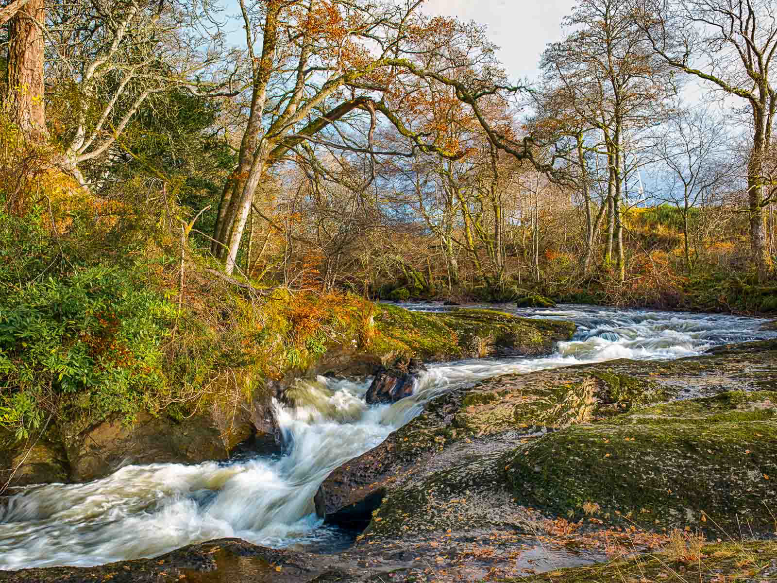 River Almond