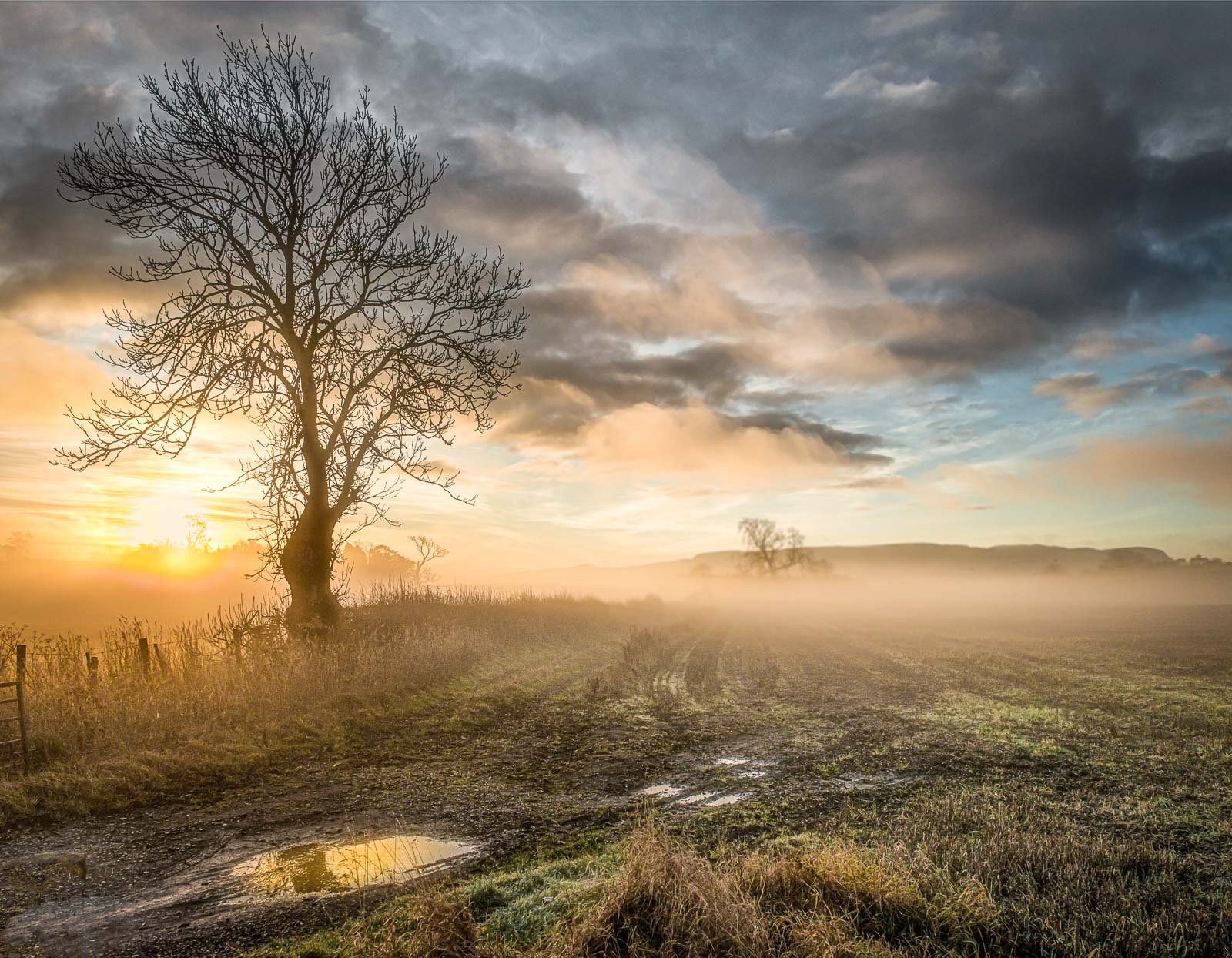Misty Sunrise in Kinross-shire