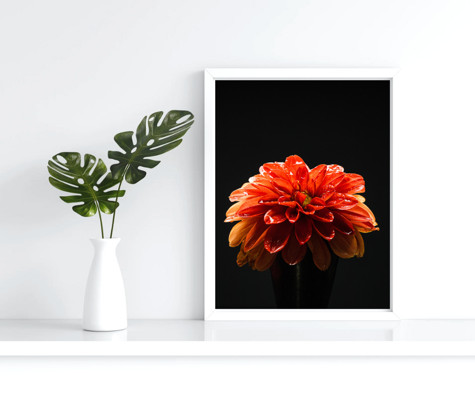 The Wallflower 11 x 17