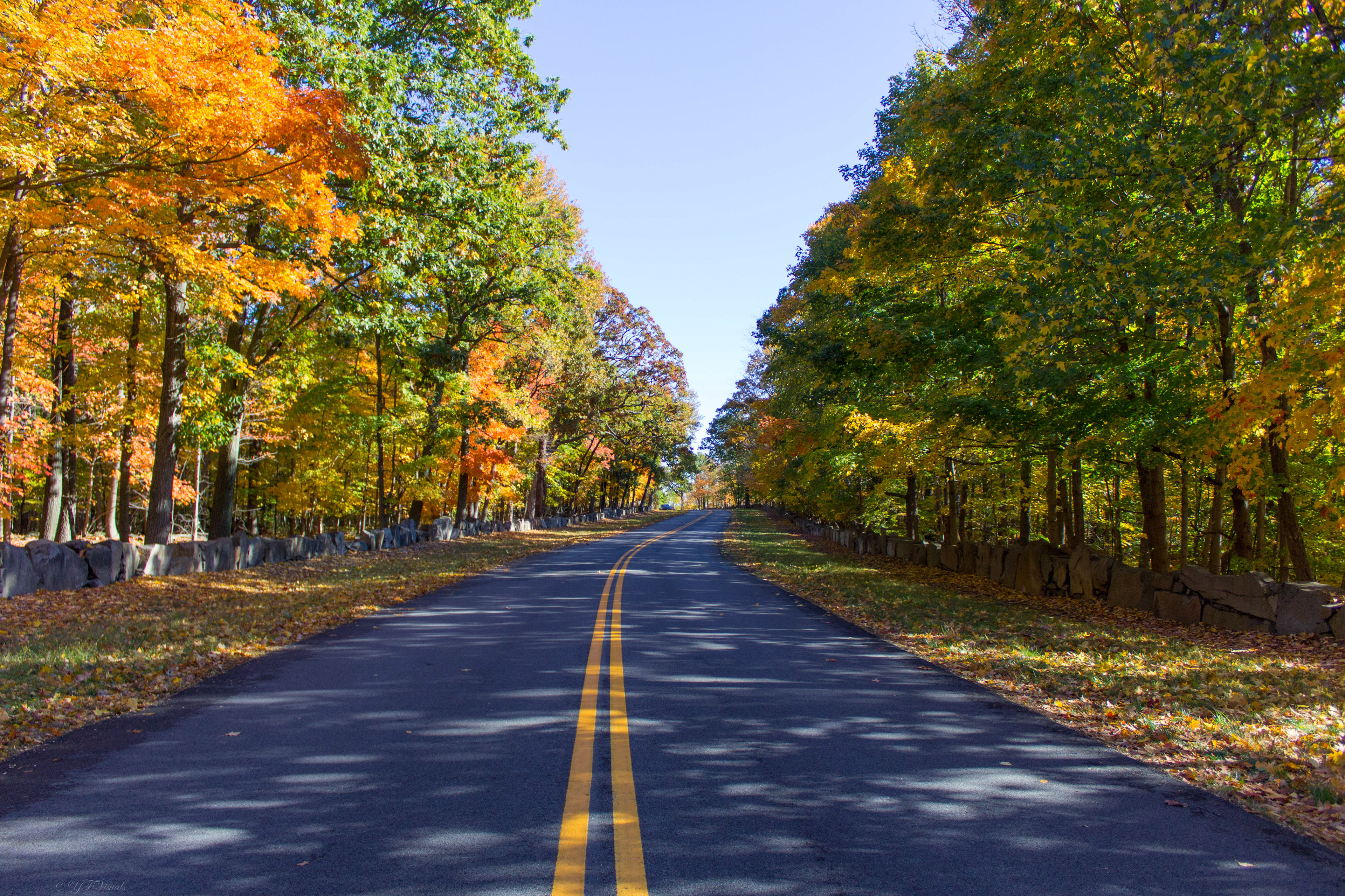 Bear Mountain Roadway
