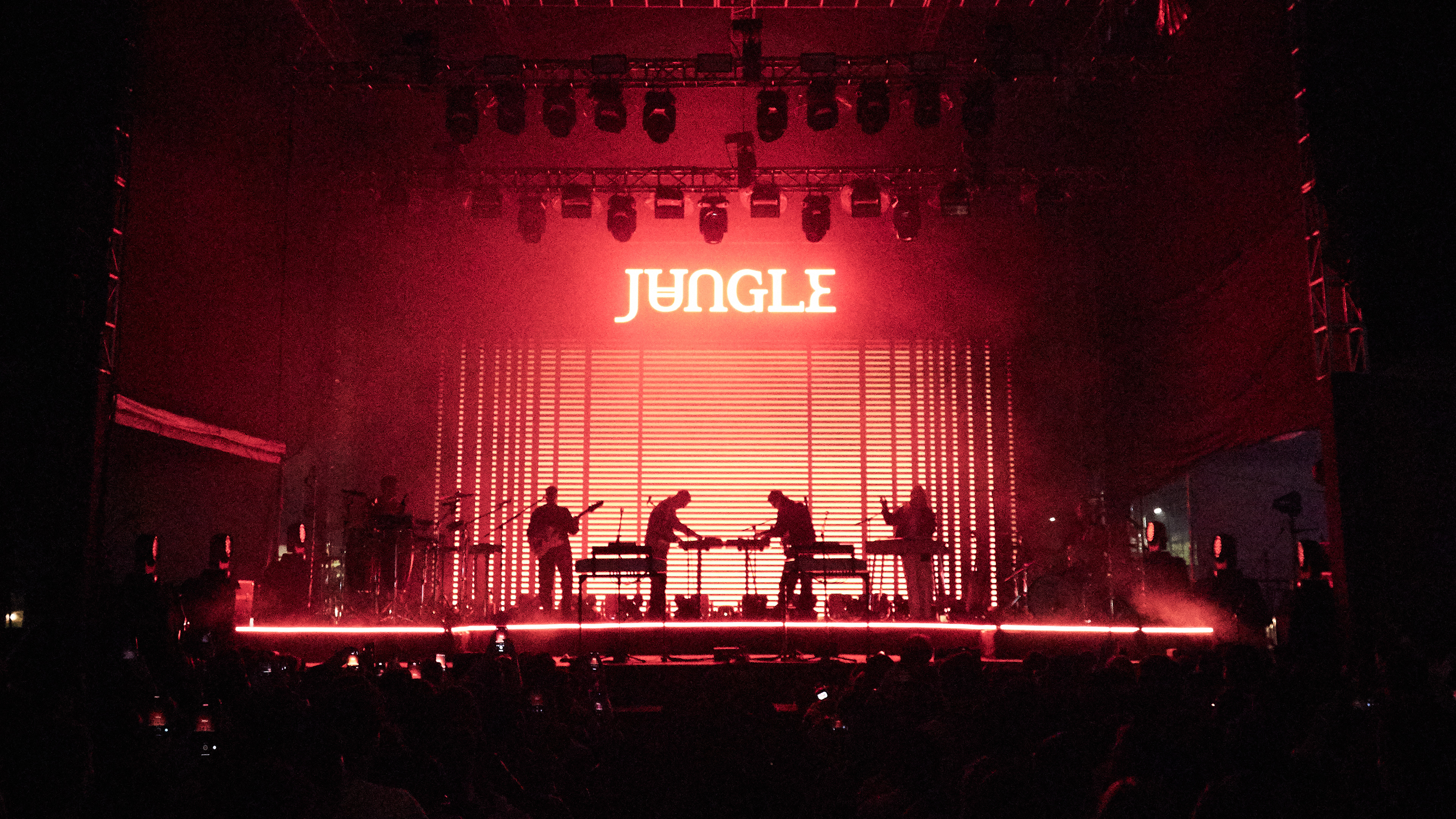 Jungle, Bogota , 2023