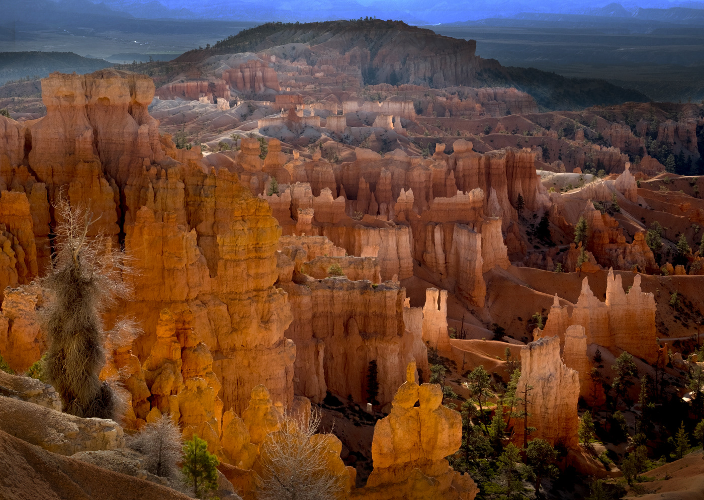 Bryce Canyon
