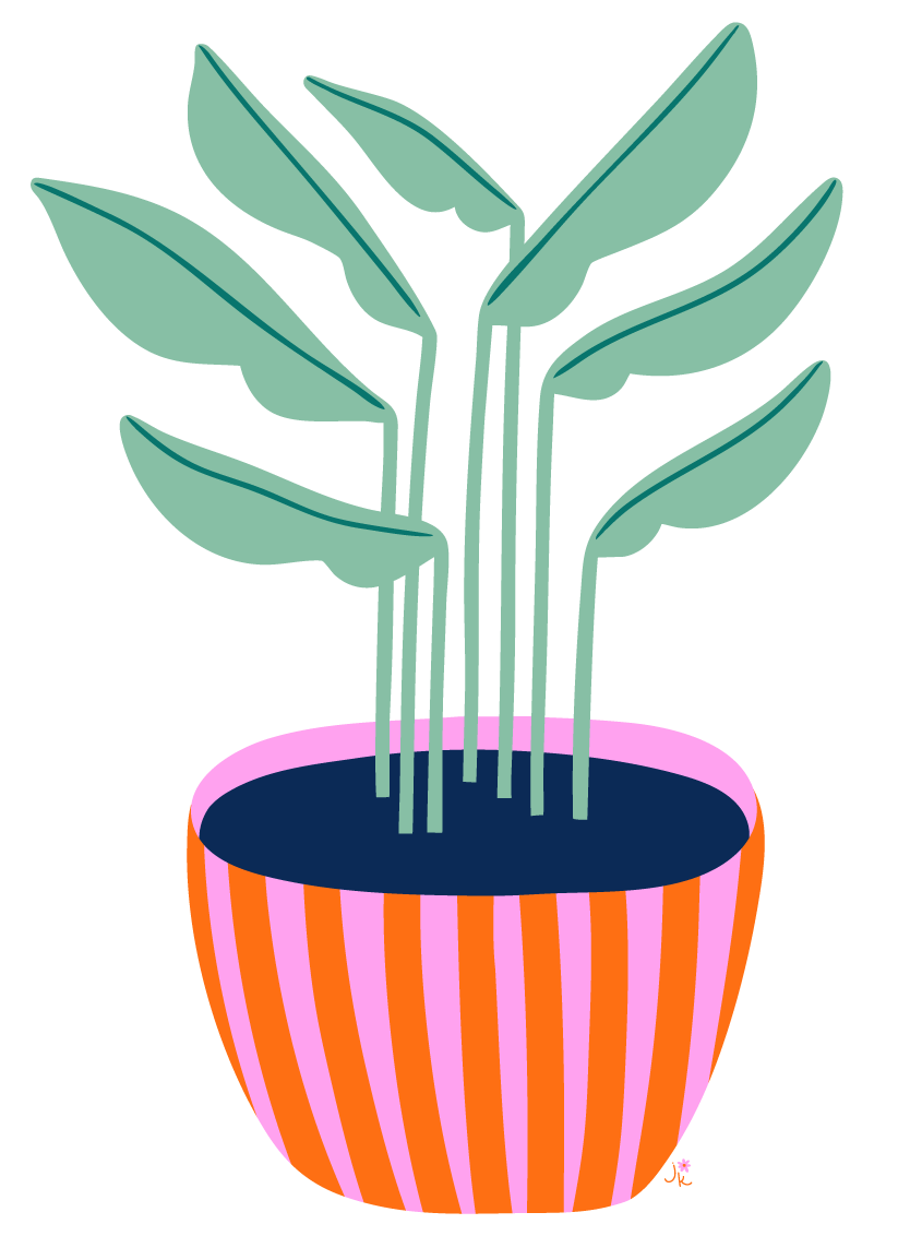 Drawing of green houseplant in red and pink striped planter