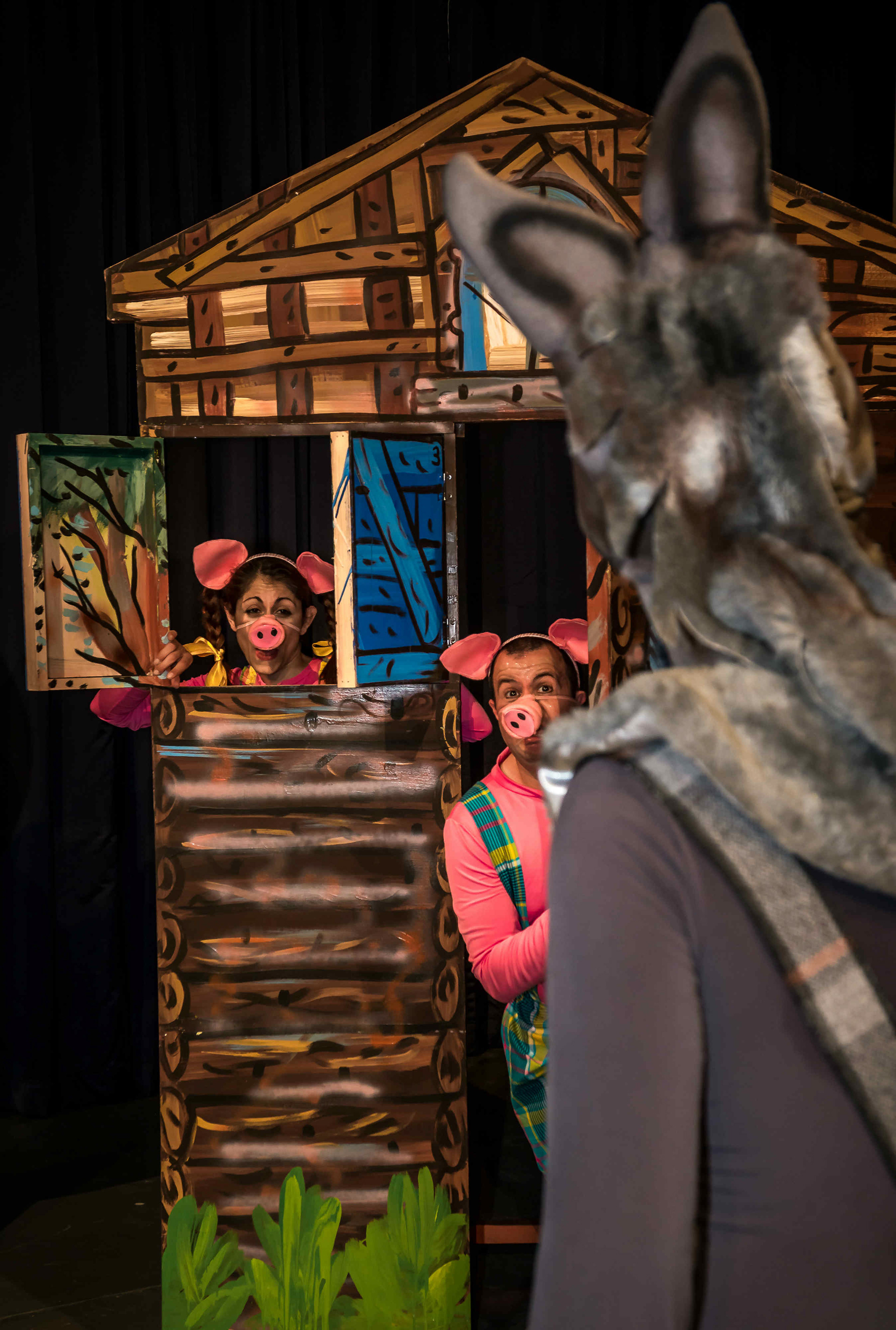 3 little pigs performance