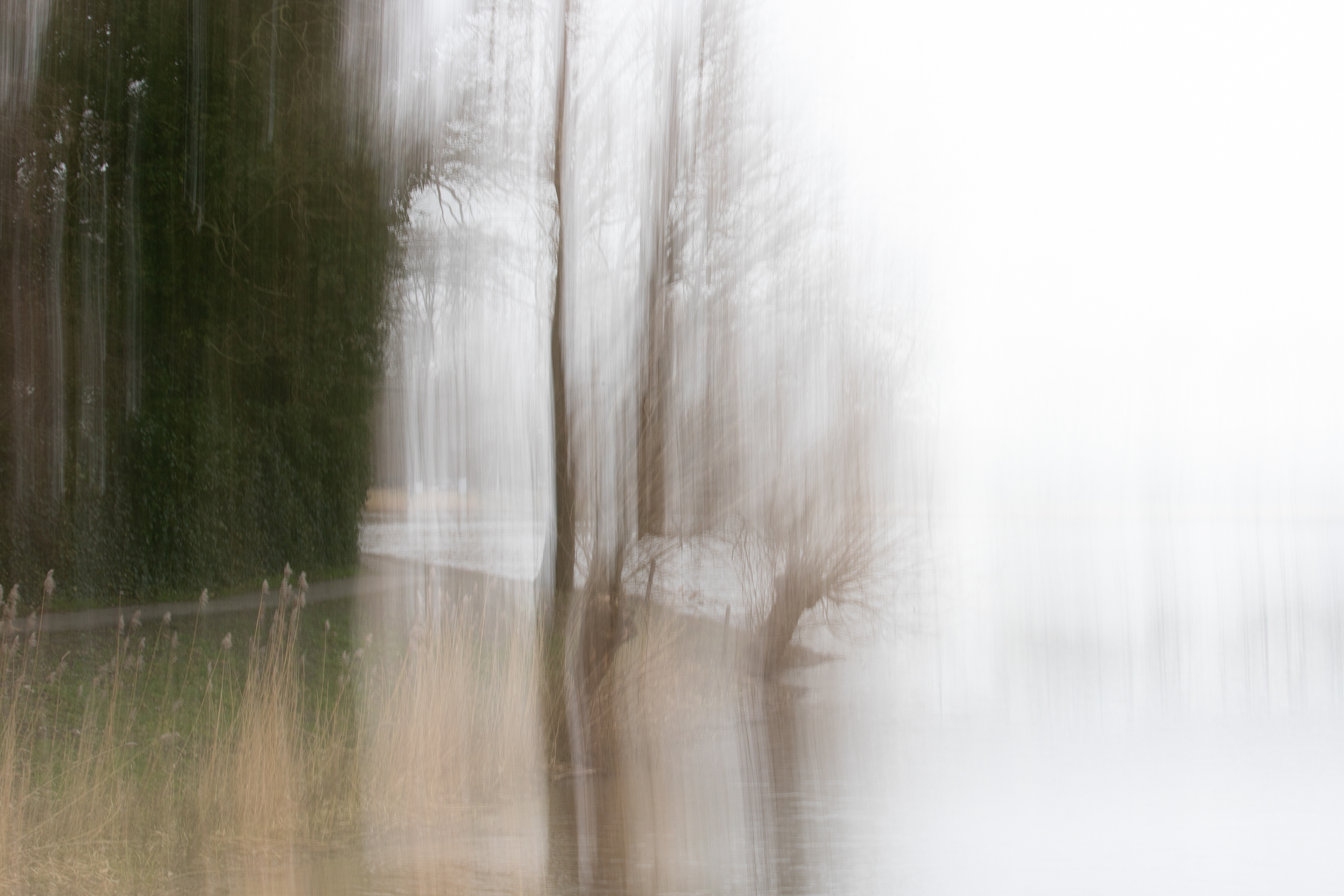 Intentional Camera Movement (ICM)