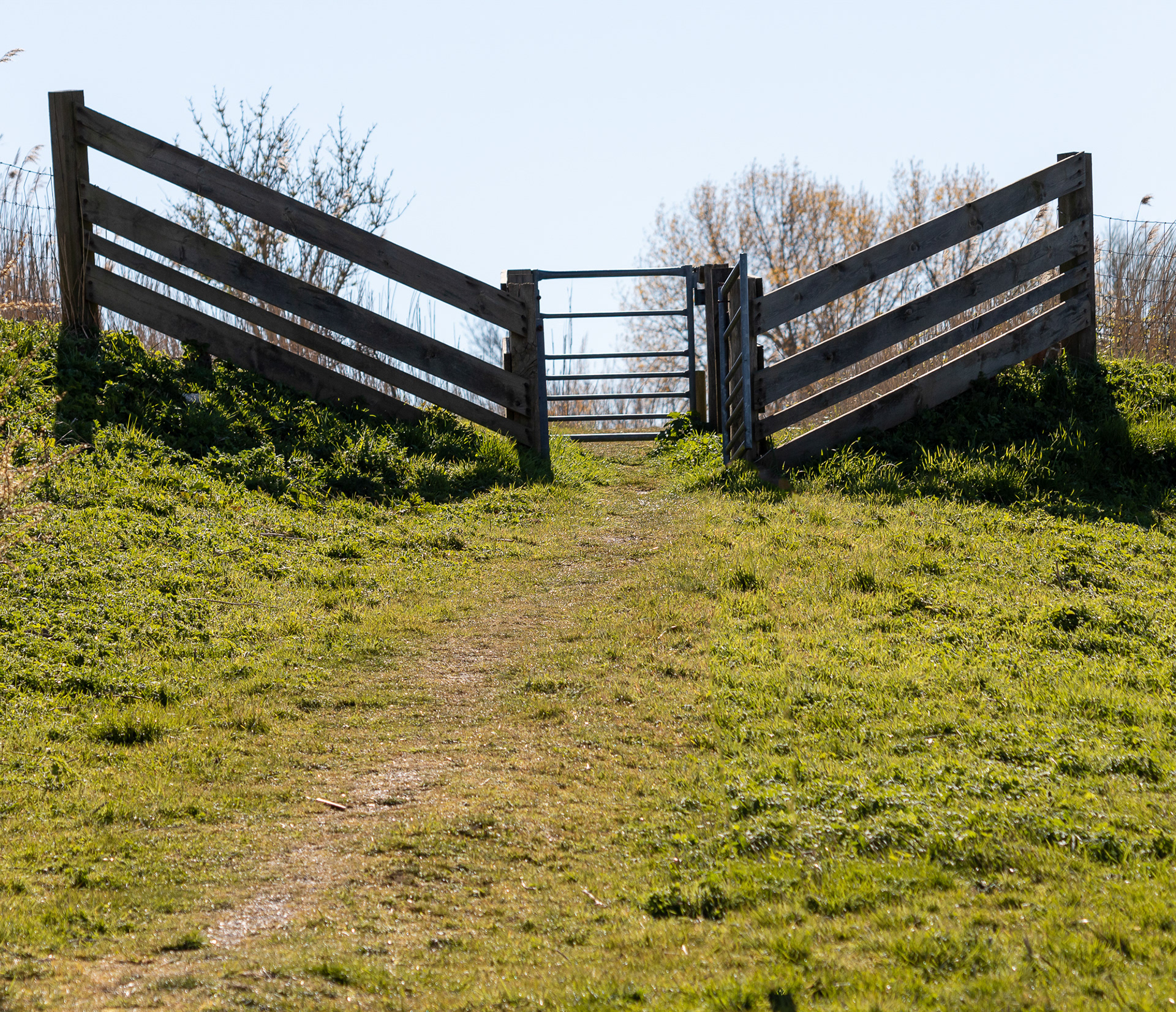 Buytenpark, Zoetermeer