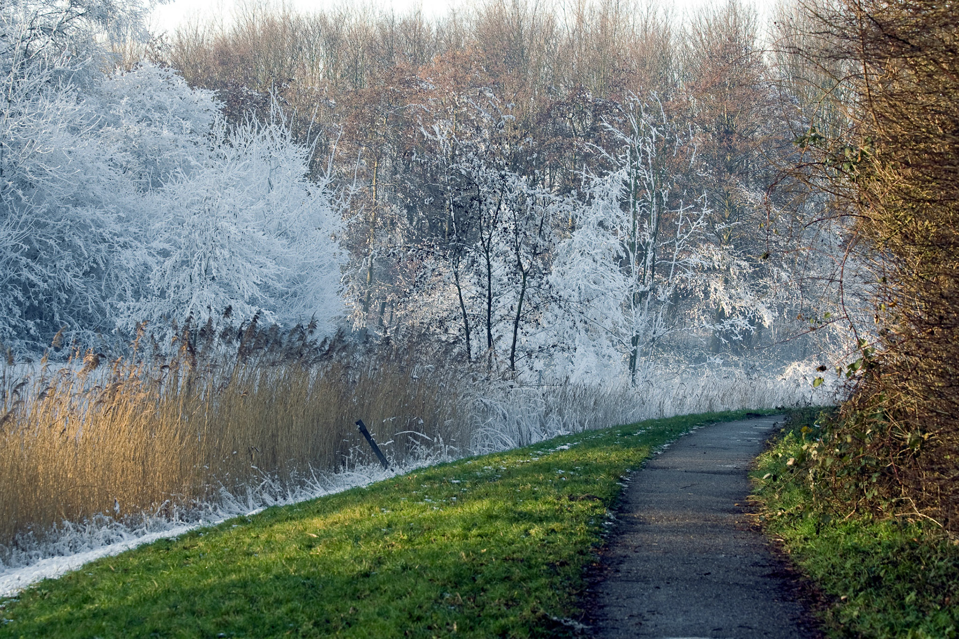 Westerpark, Zoetermeer