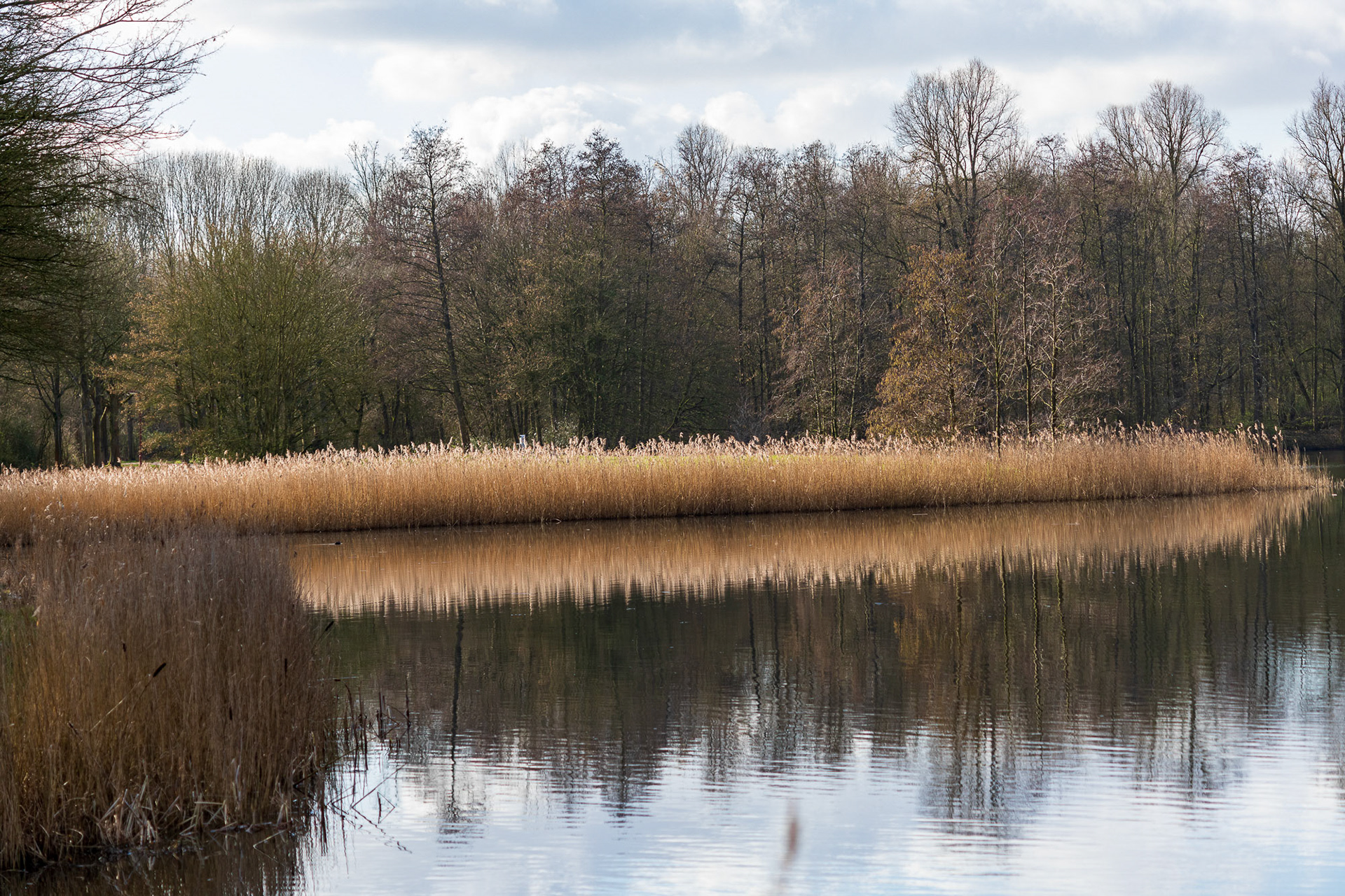 Westerpark, Zoetermeer