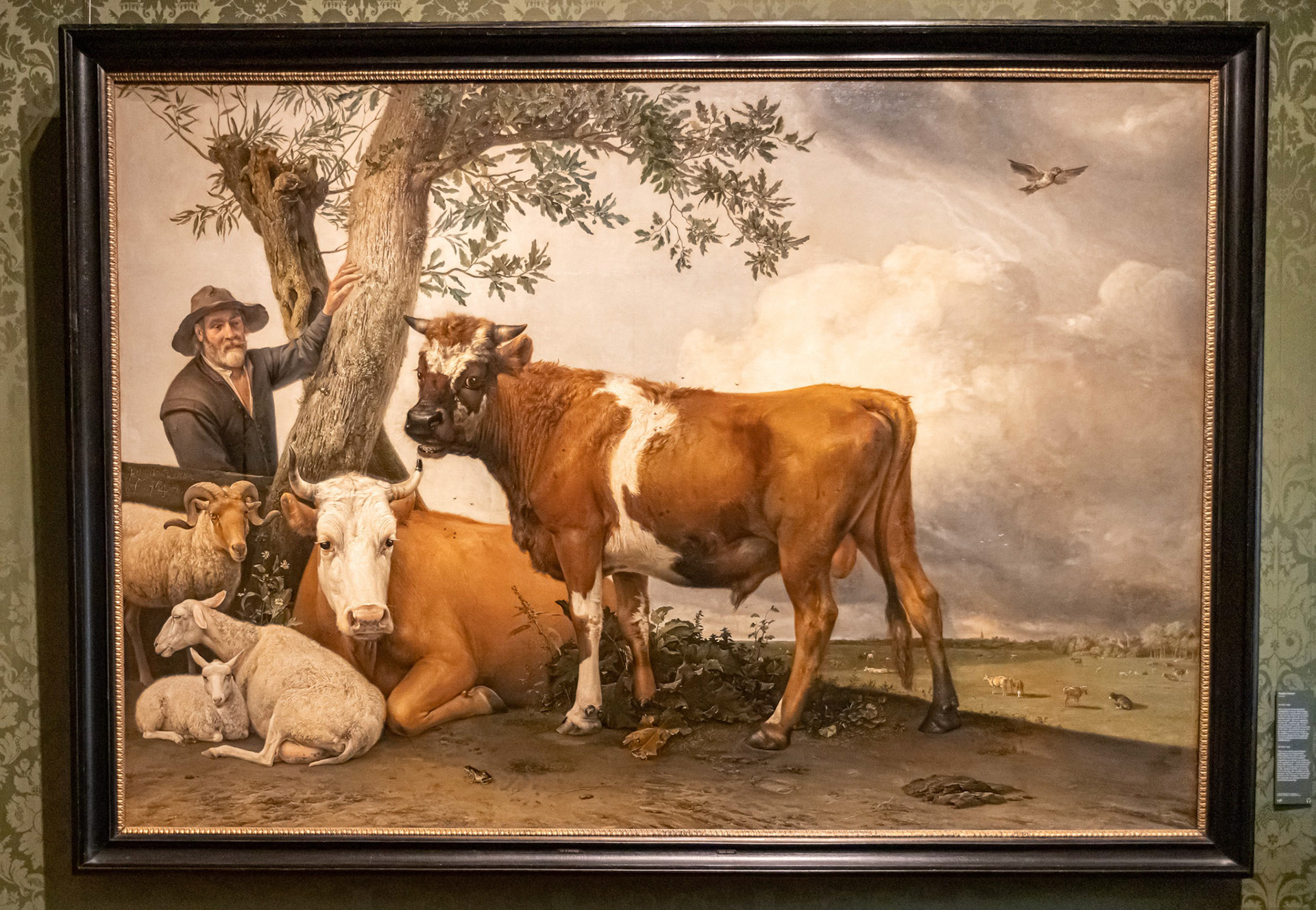 Mauritshuis Den Haag Expositie Rembrandt