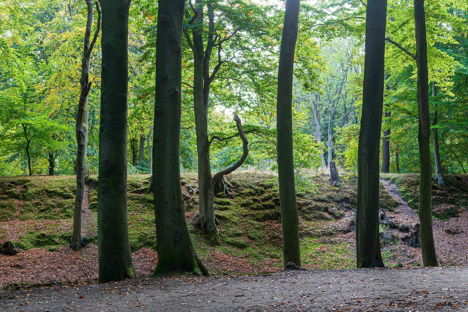 Park Clingendael