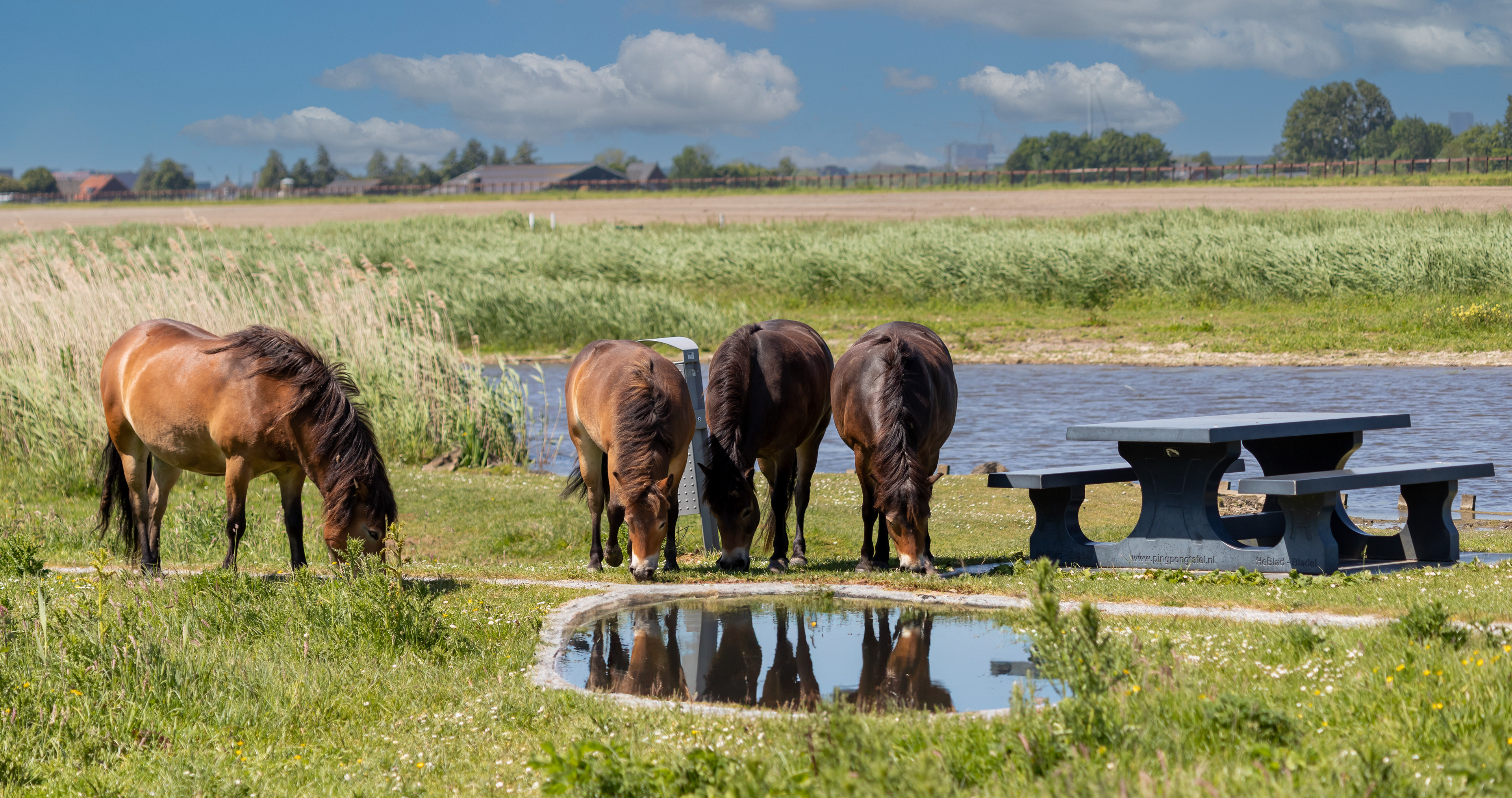Buytenpark Zoetermeer