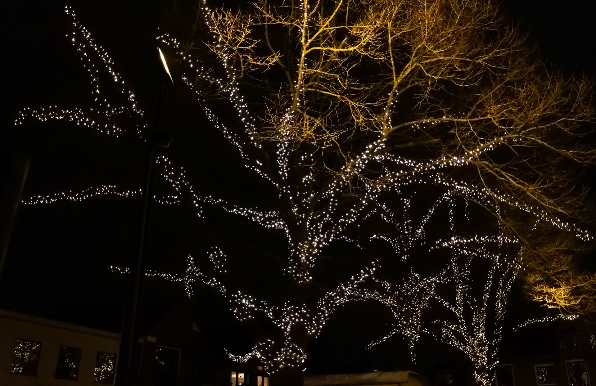 Kaarsjesavond Zoetermeer 10 december 2019