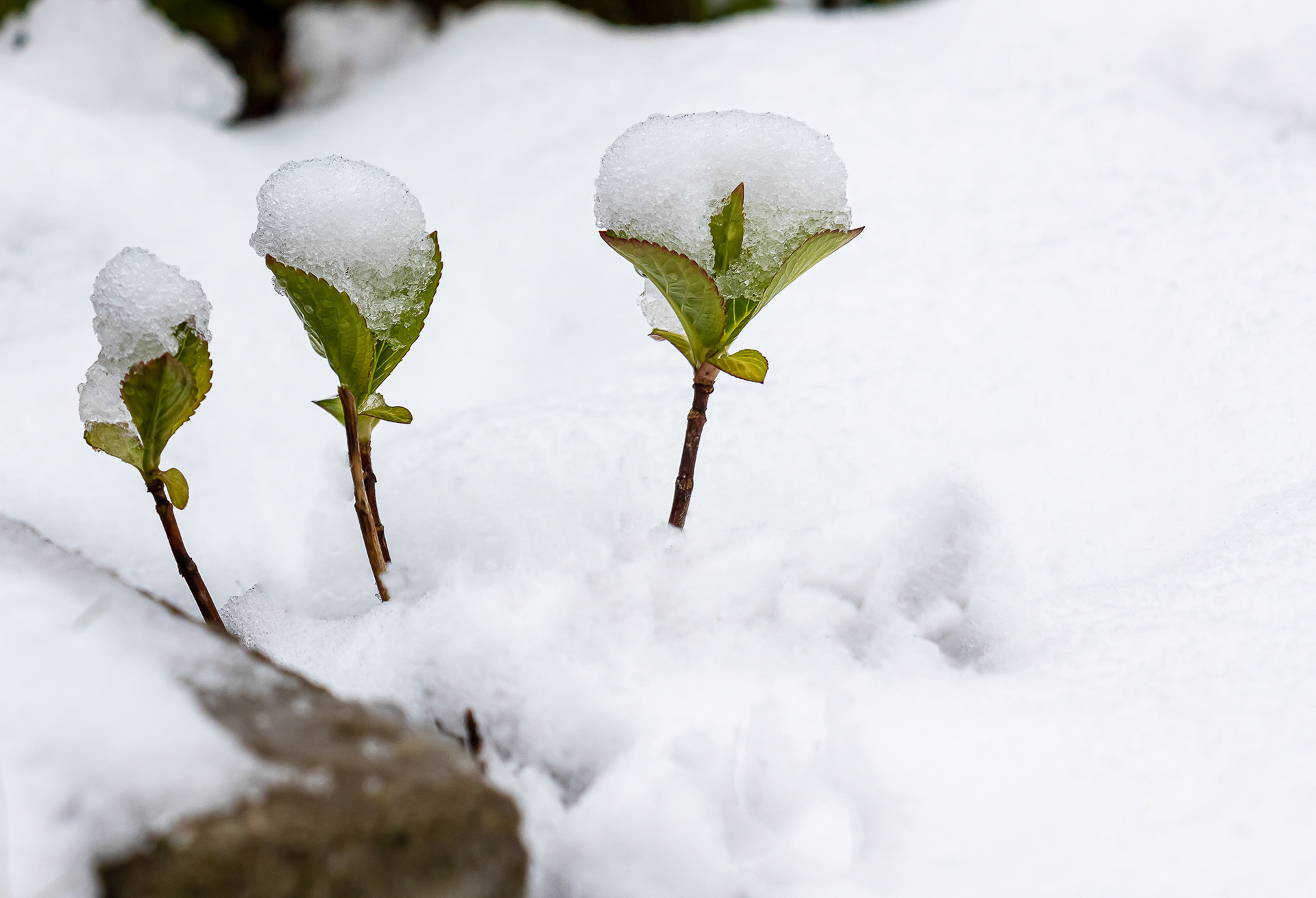 1 april 2022 (geen grap)