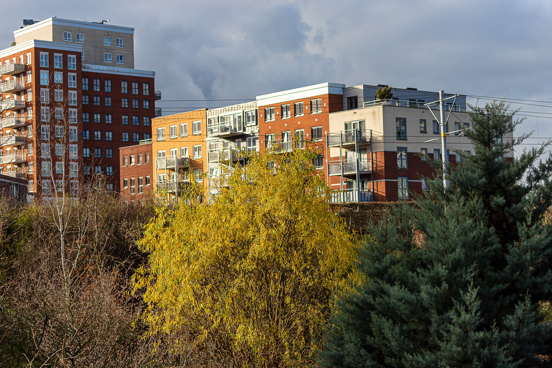 stukje Hintergarten met strijklicht