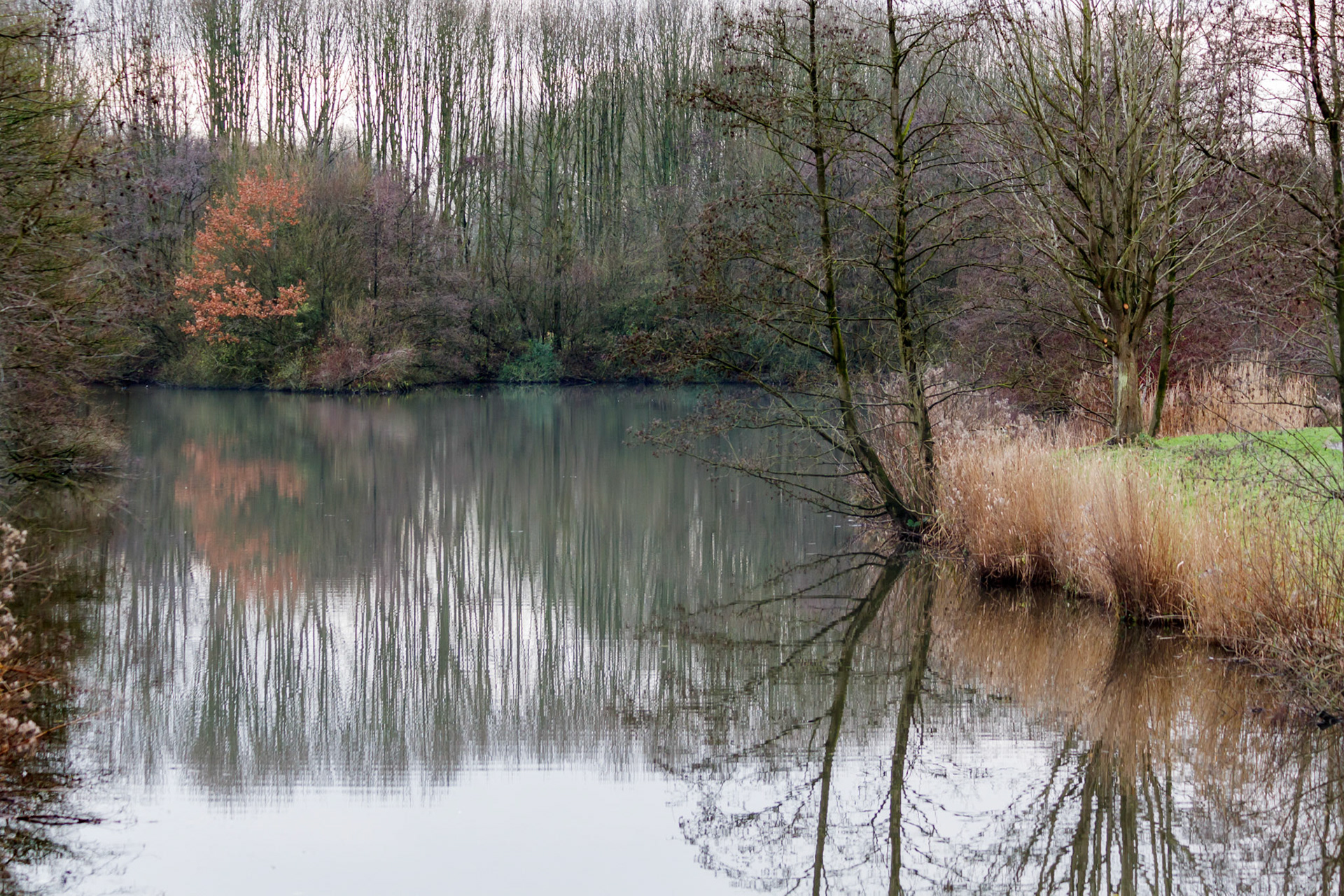 Westerpark, Zoetermeer